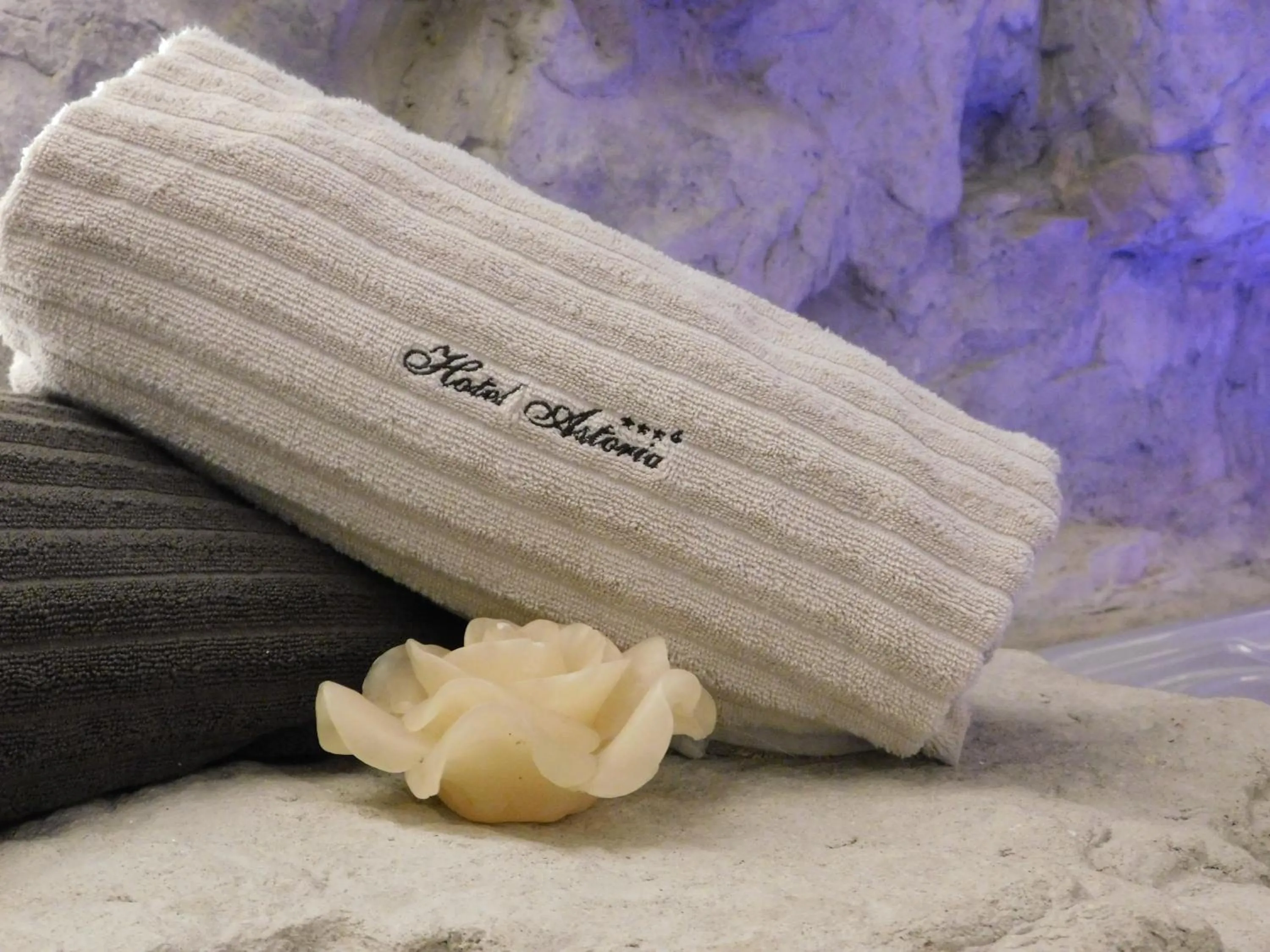 Spa and wellness centre/facilities in Hotel Astoria