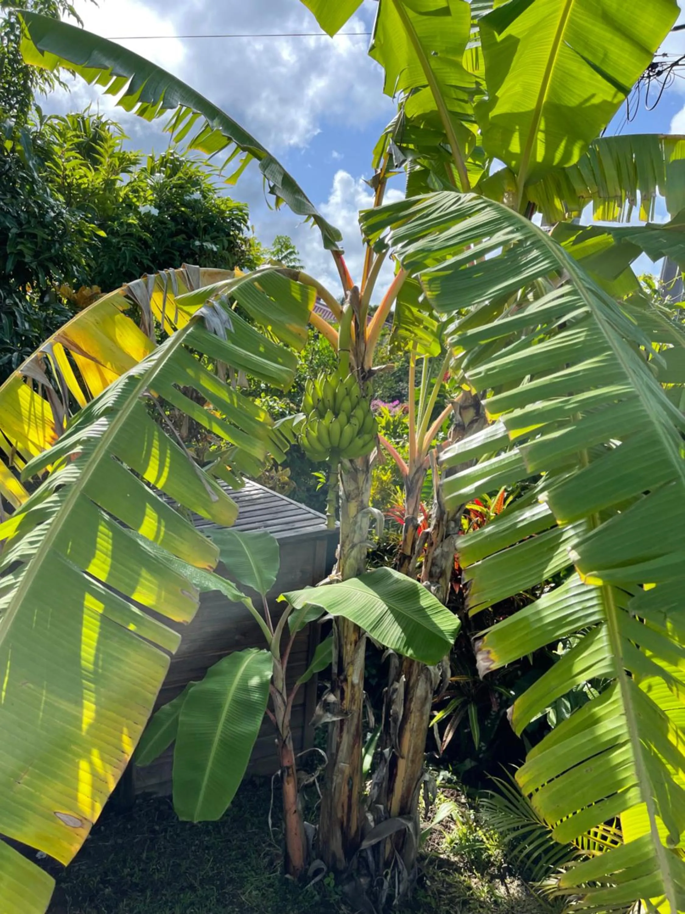 Villa Sol Y Luna, Martinique, Sainte Luce