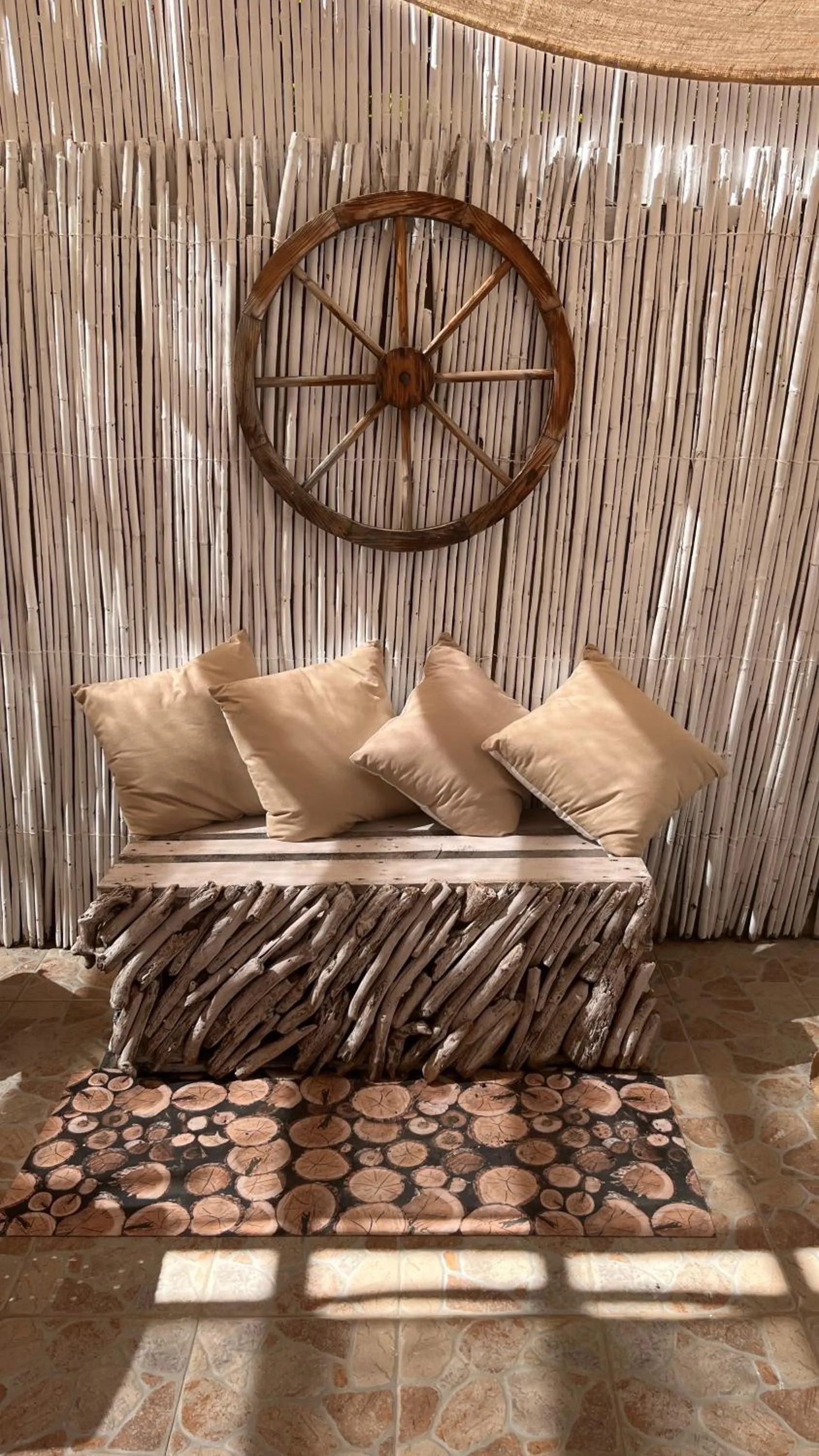 Patio in Hotel Tabby