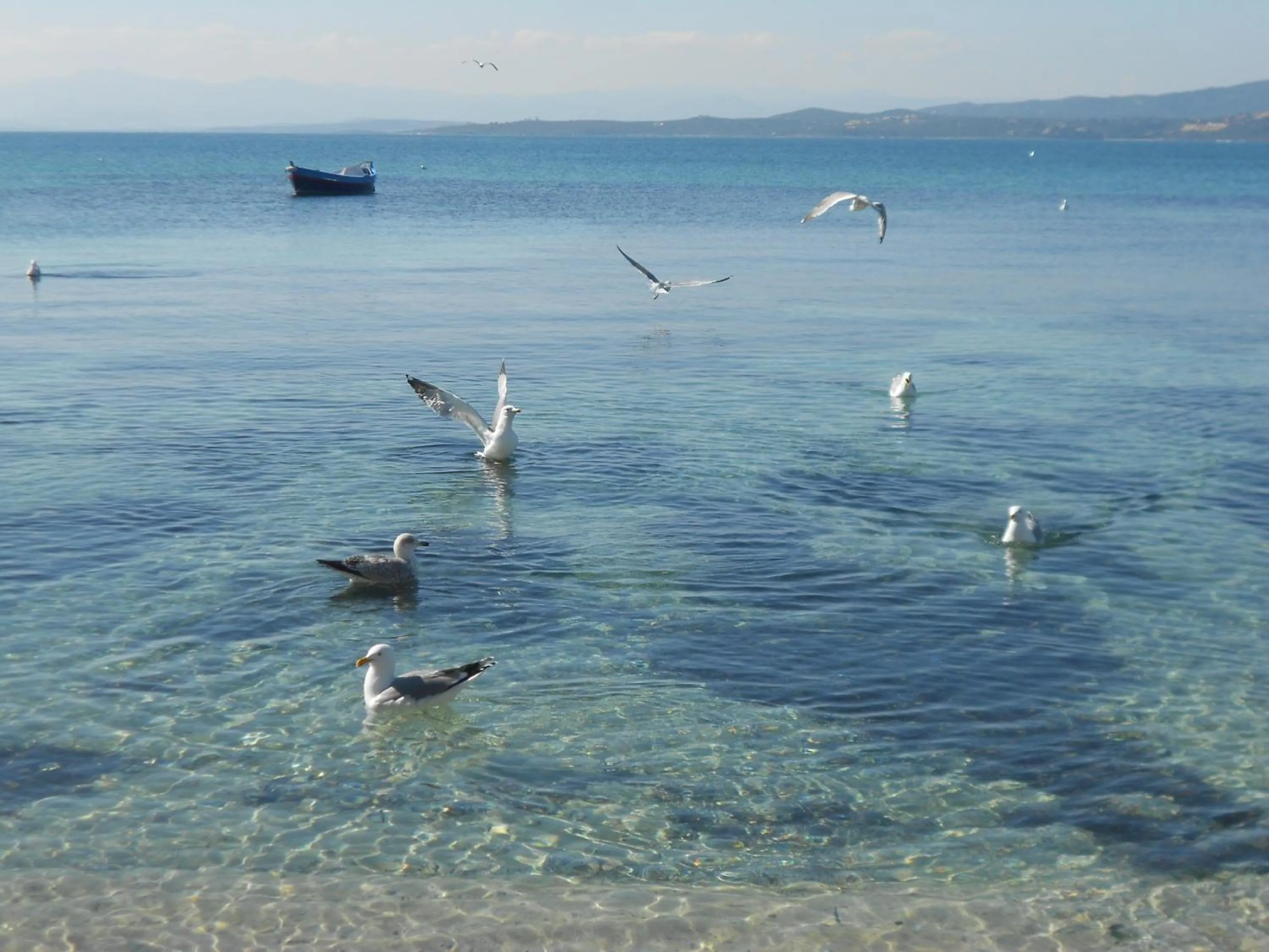 Other in Hotel Tabby