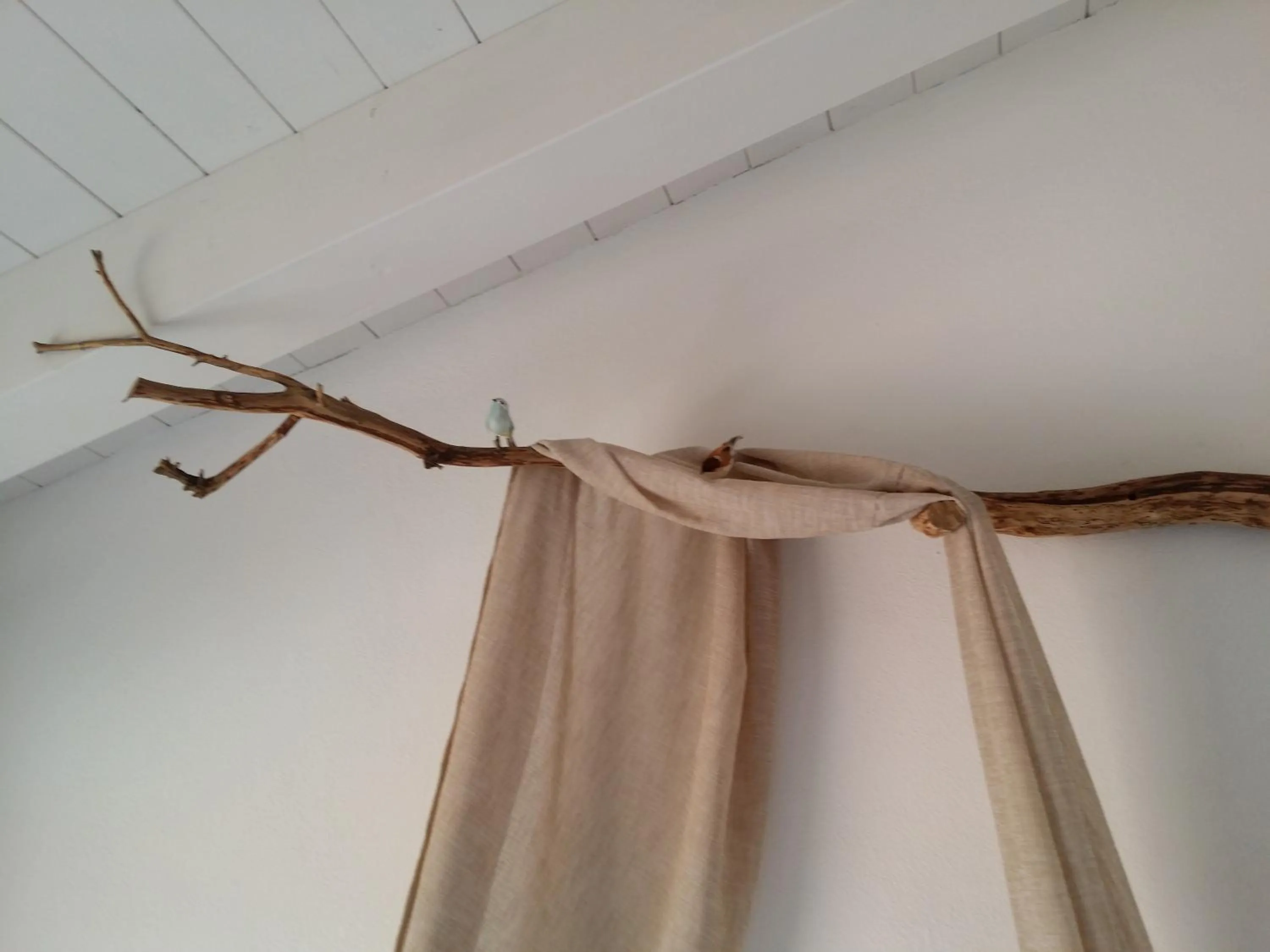 Other in Hotel Tabby