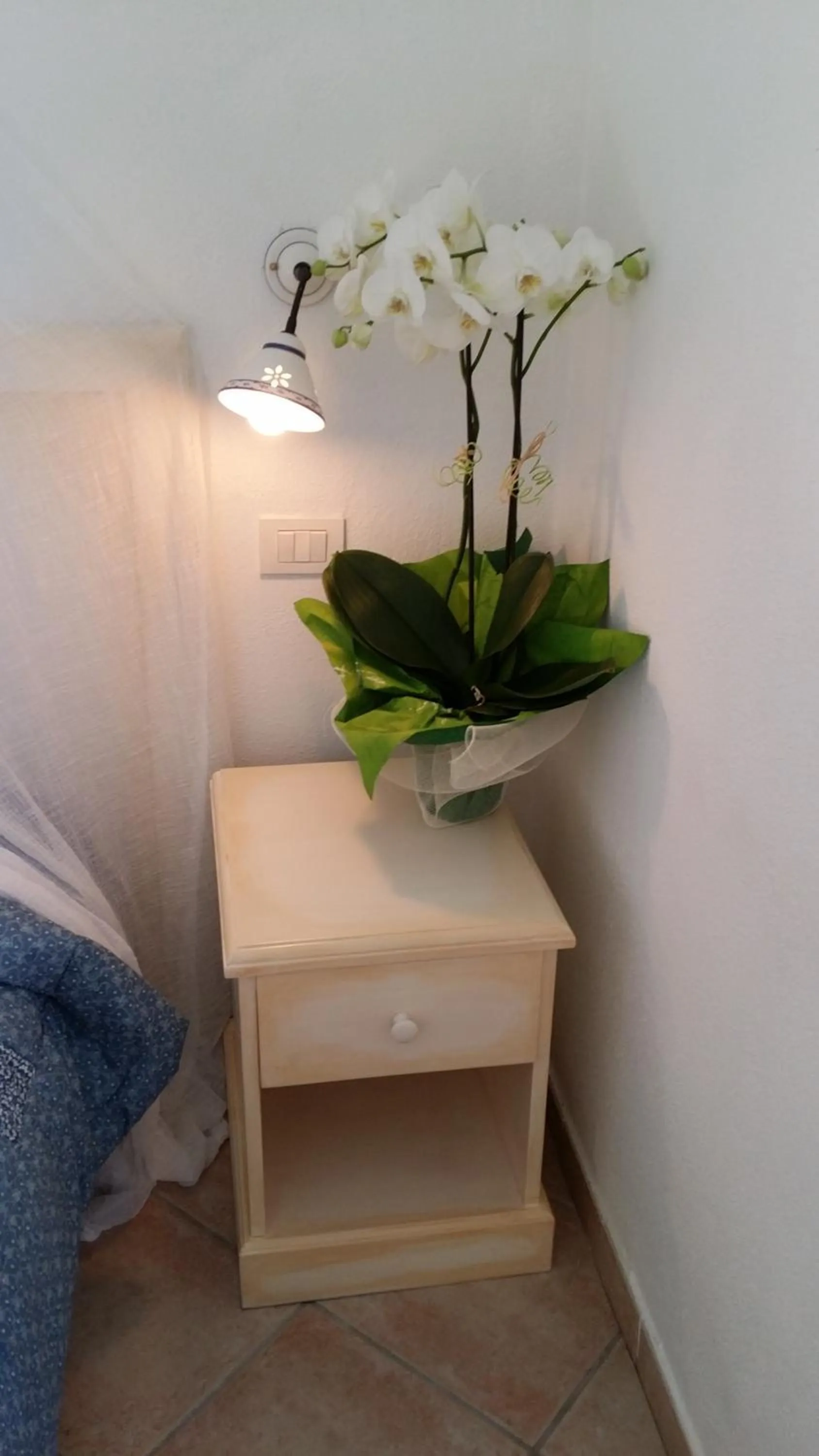 Decorative detail in Hotel Tabby