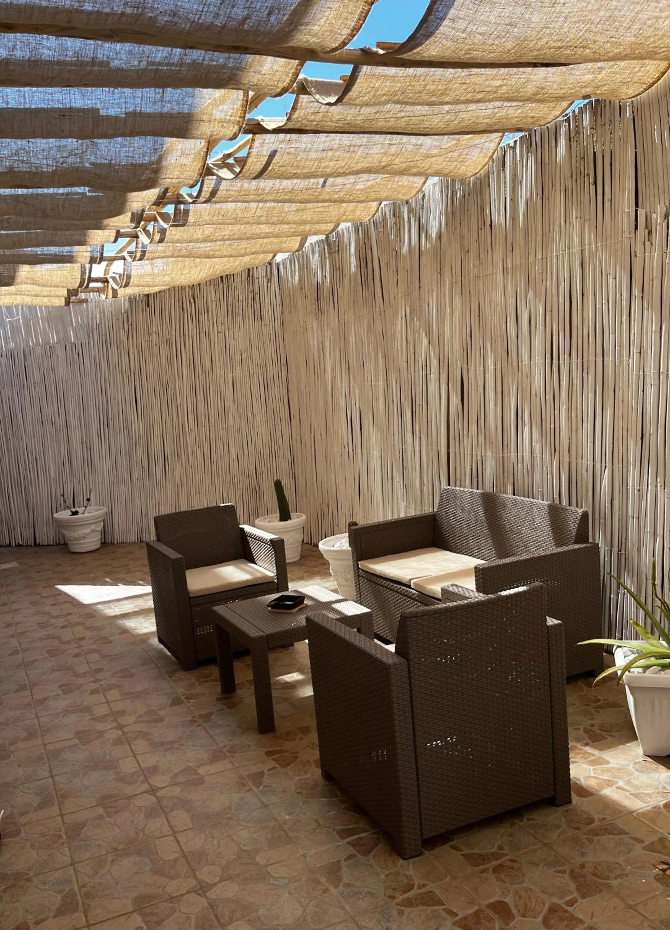 Patio in Hotel Tabby