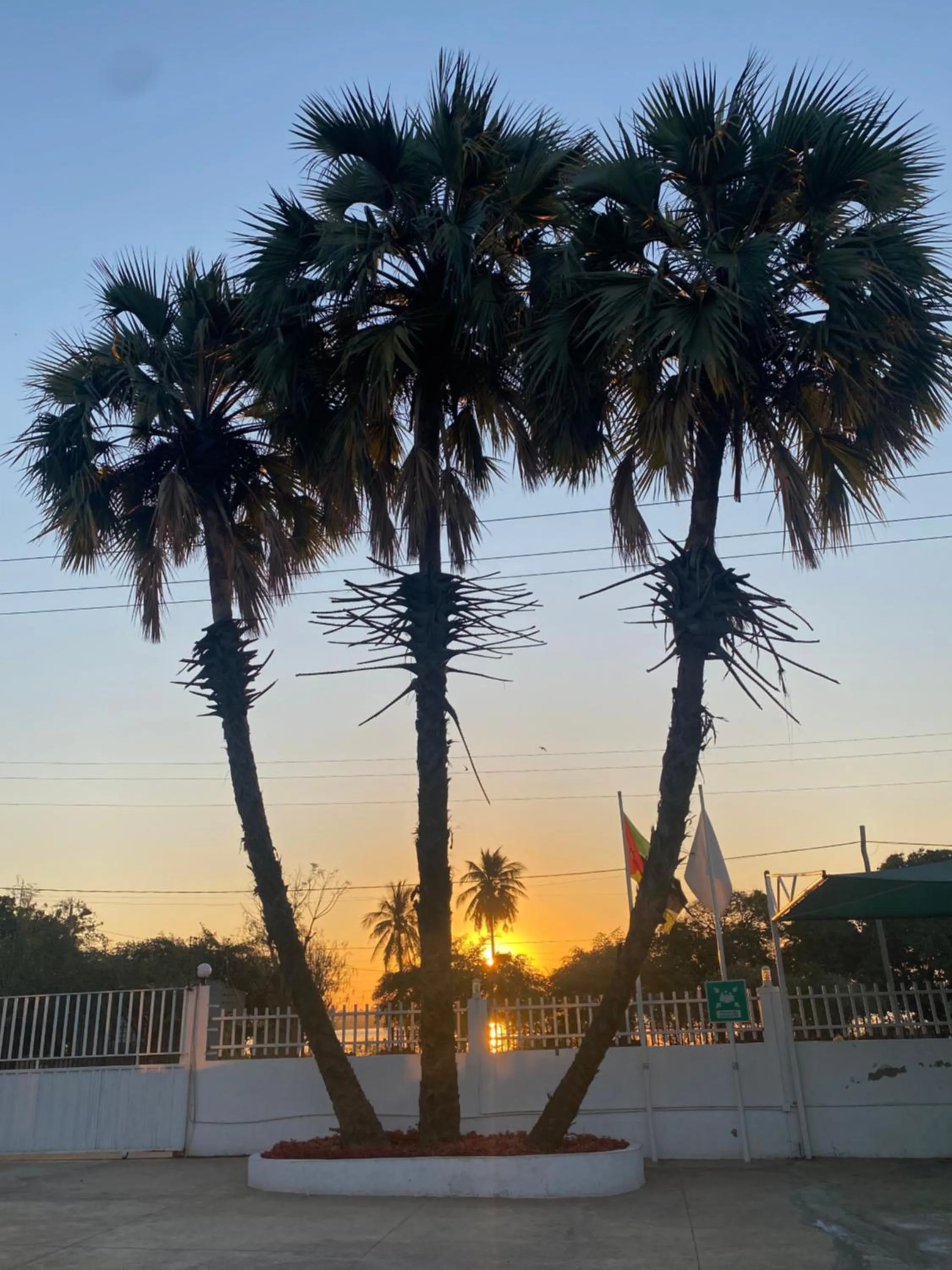 TETE PALM HOTEL