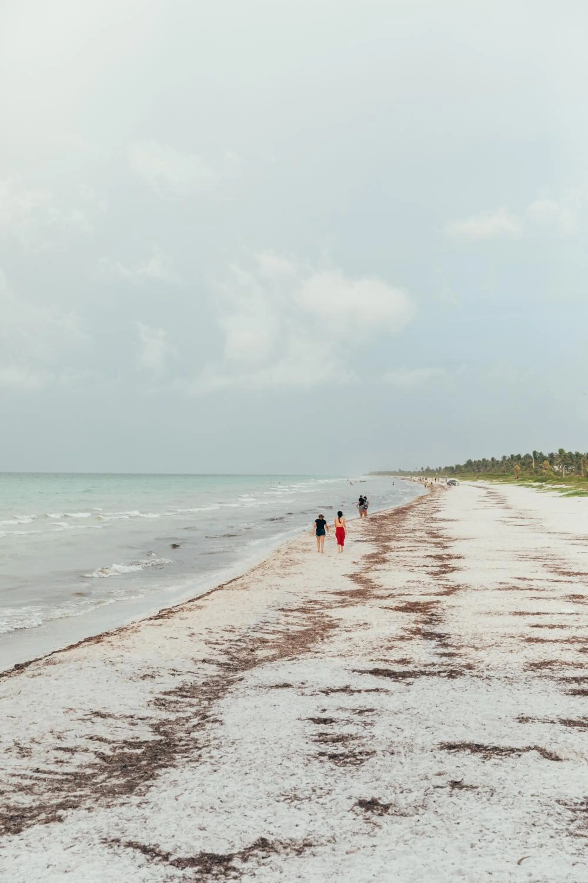 Beach in Cucu Hotel El Cuyo