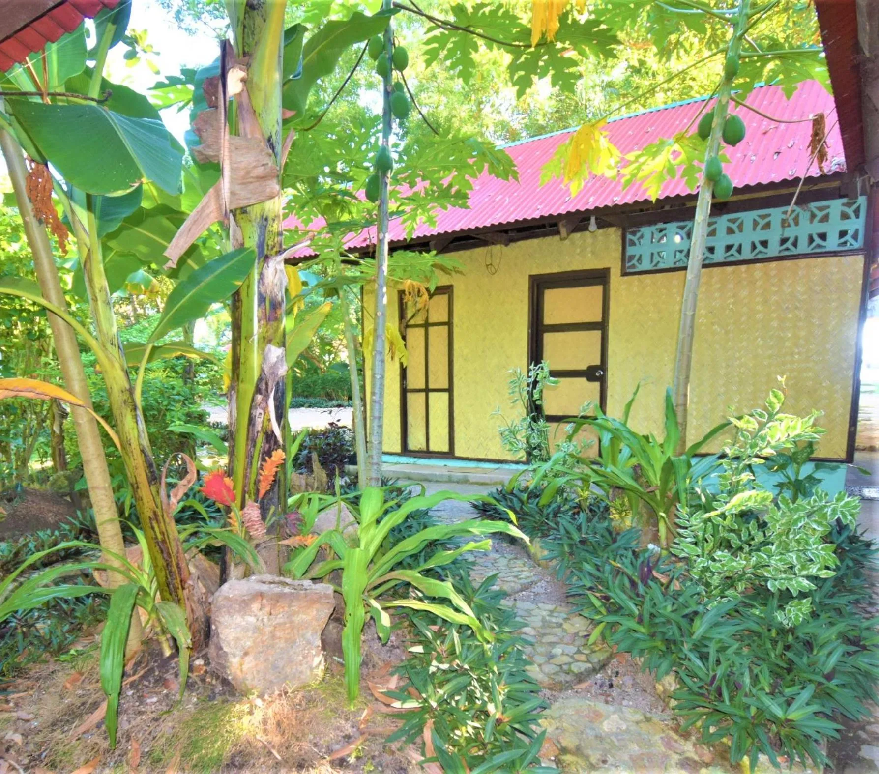 Garden in Concepcion Divers Lodge
