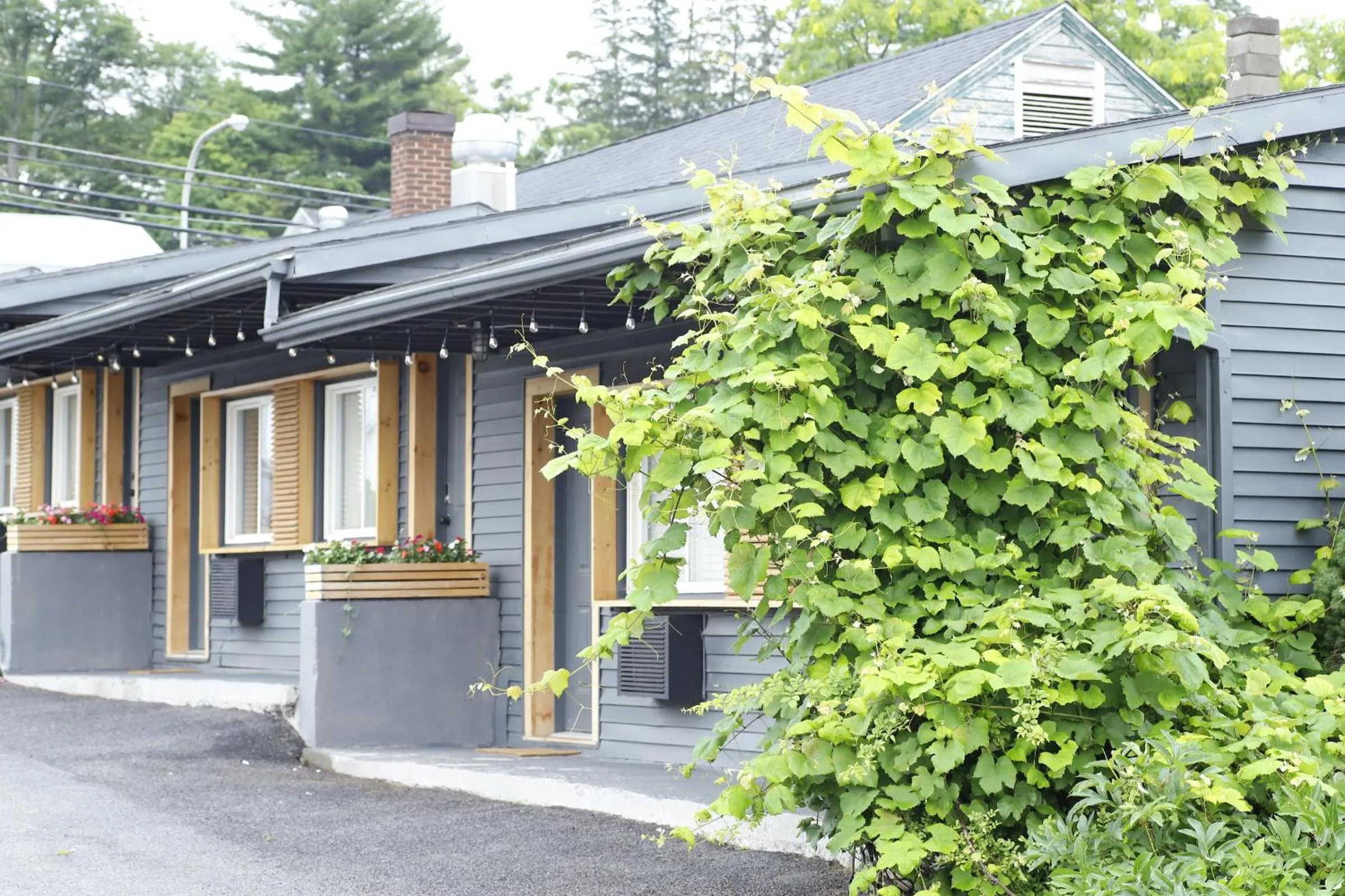 Property building in The Vine on Main