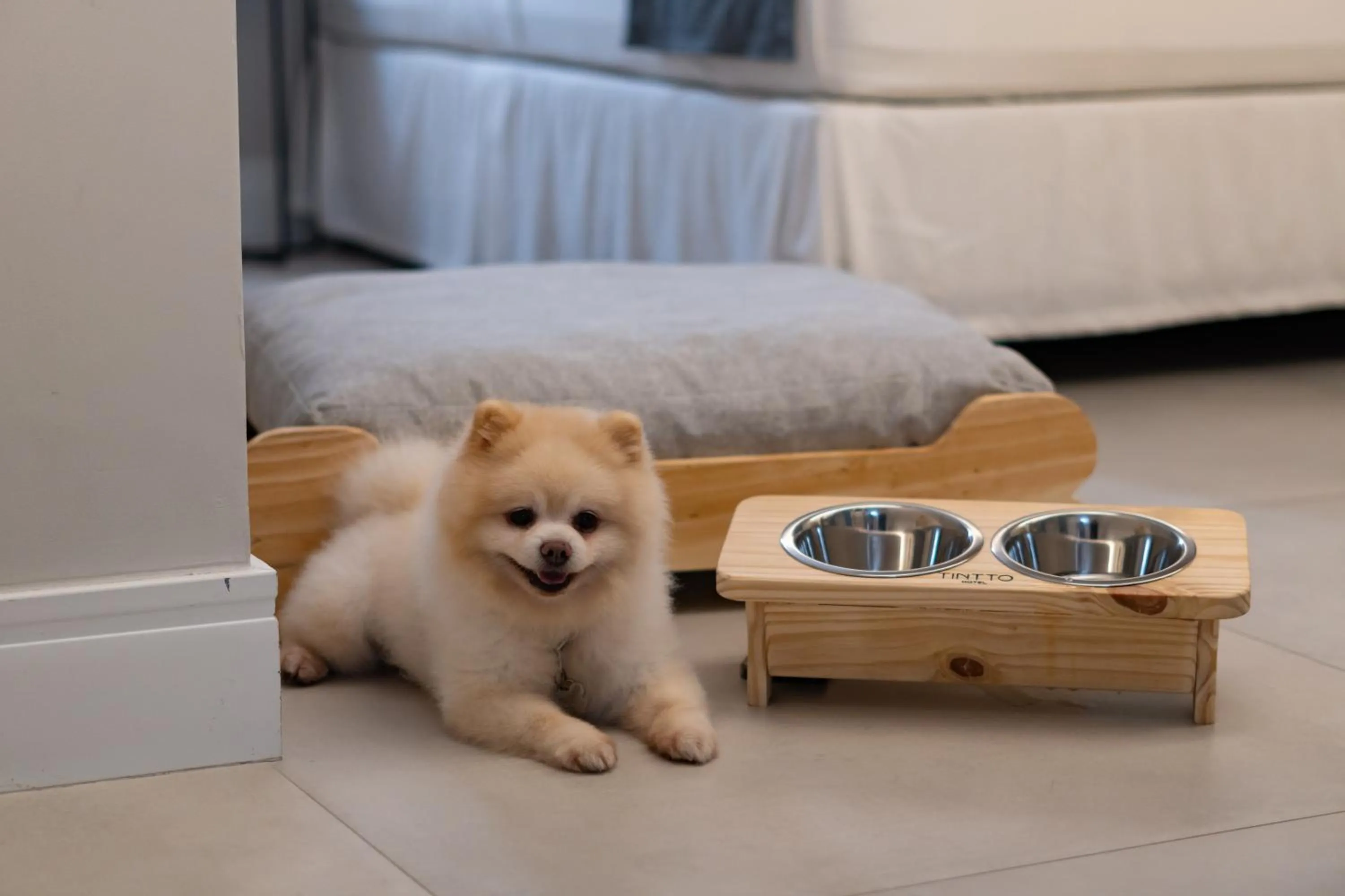 Pets in Tintto Hotel