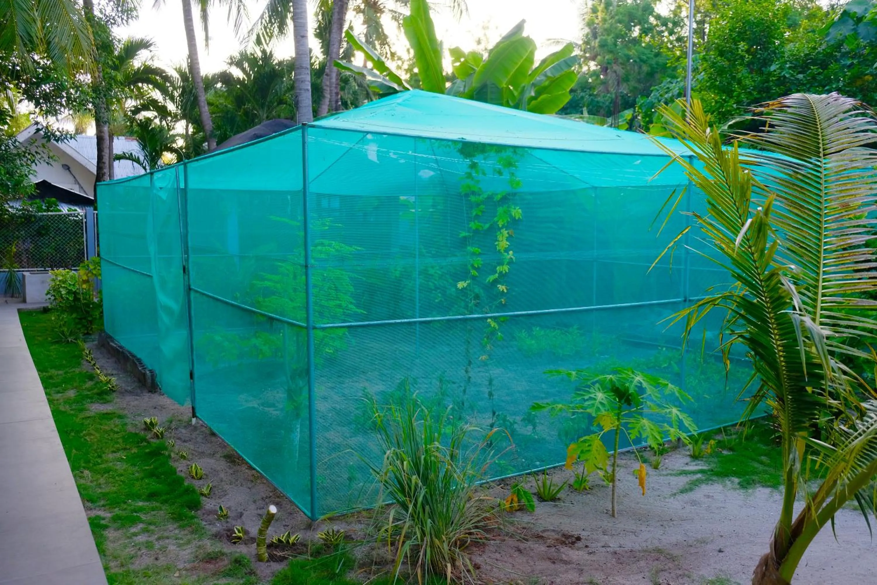 Garden in Skott's Comfy Lodge