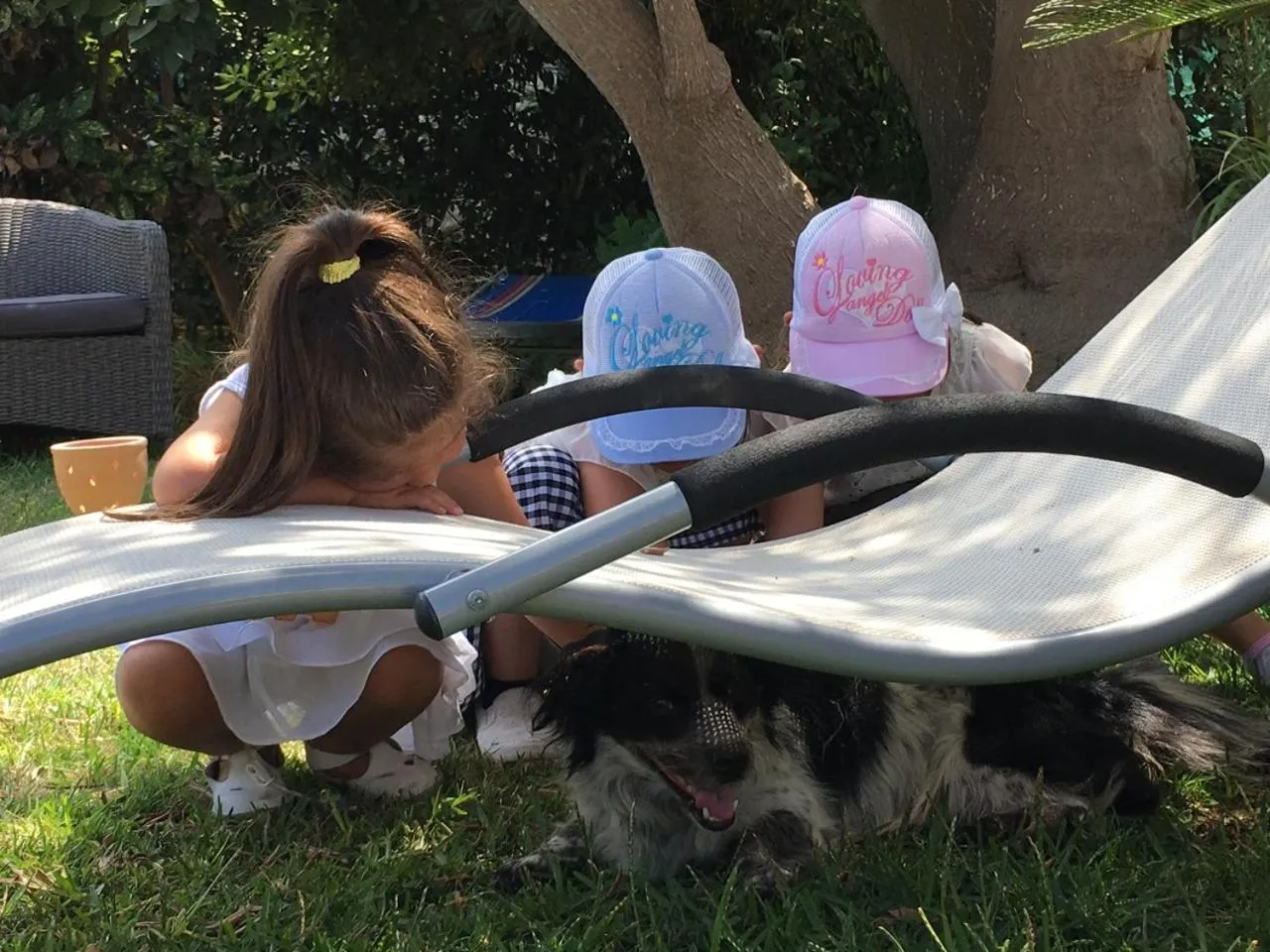 Garden in Hotel Al Mulino