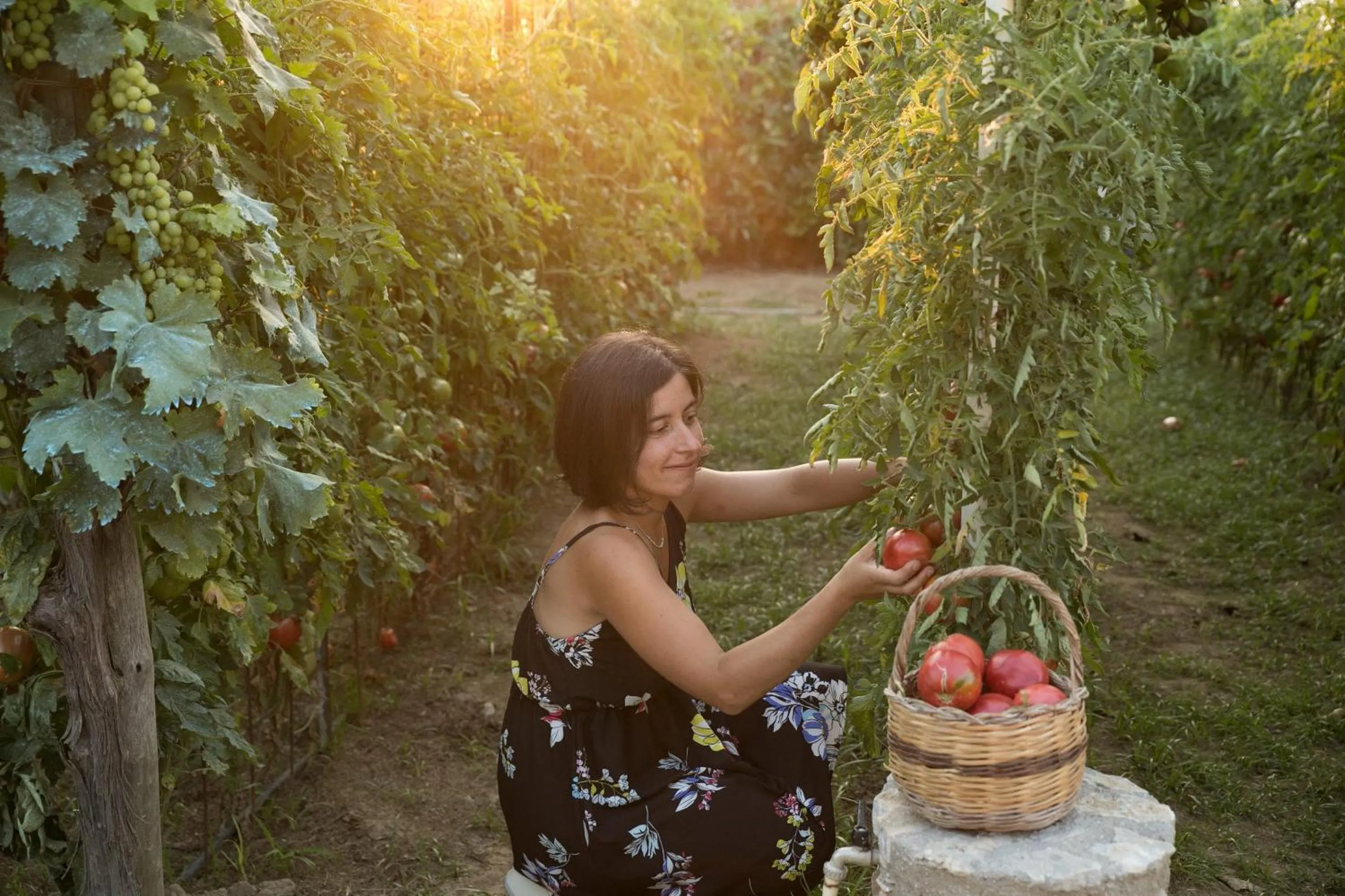 Garden in Hotel Al Mulino - Mediterranean Hideaway