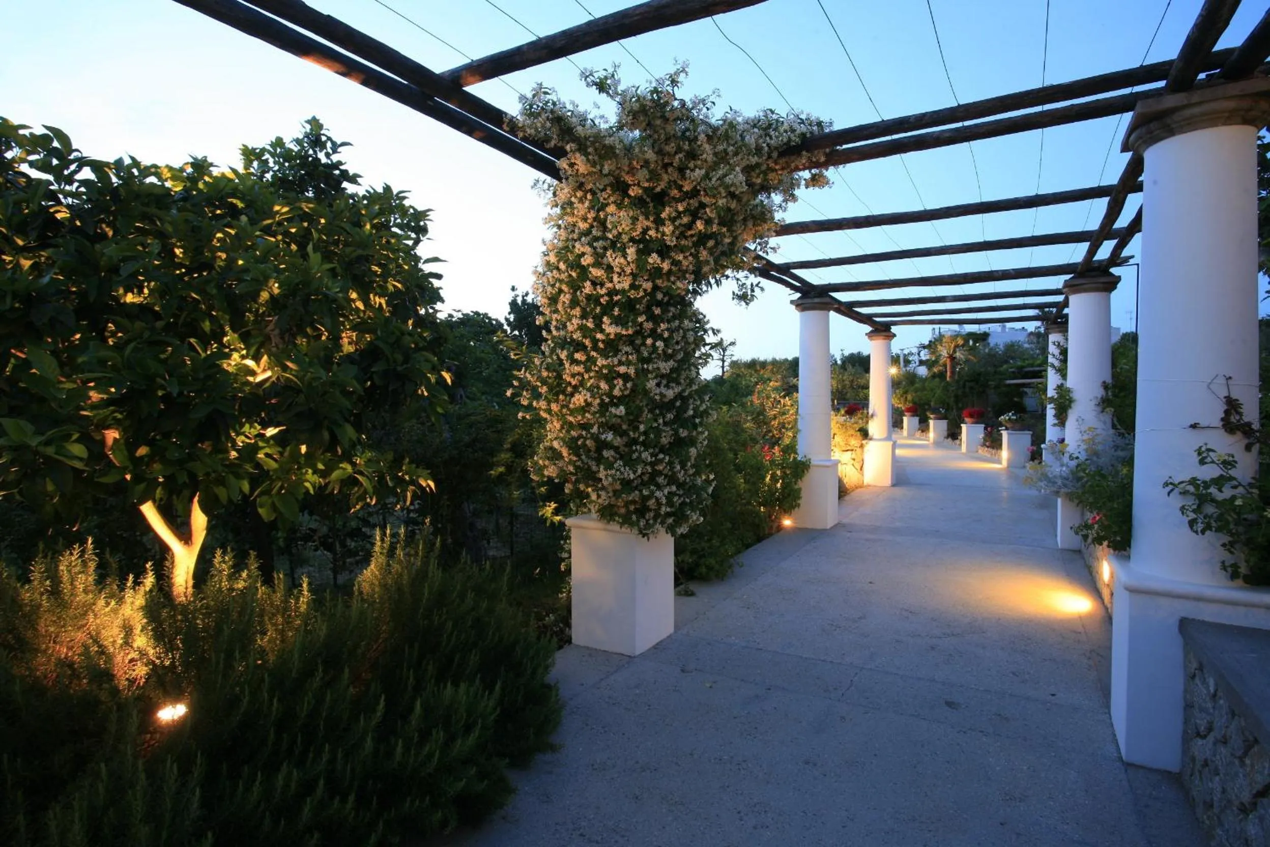 Facade/entrance in Hotel Al Mulino