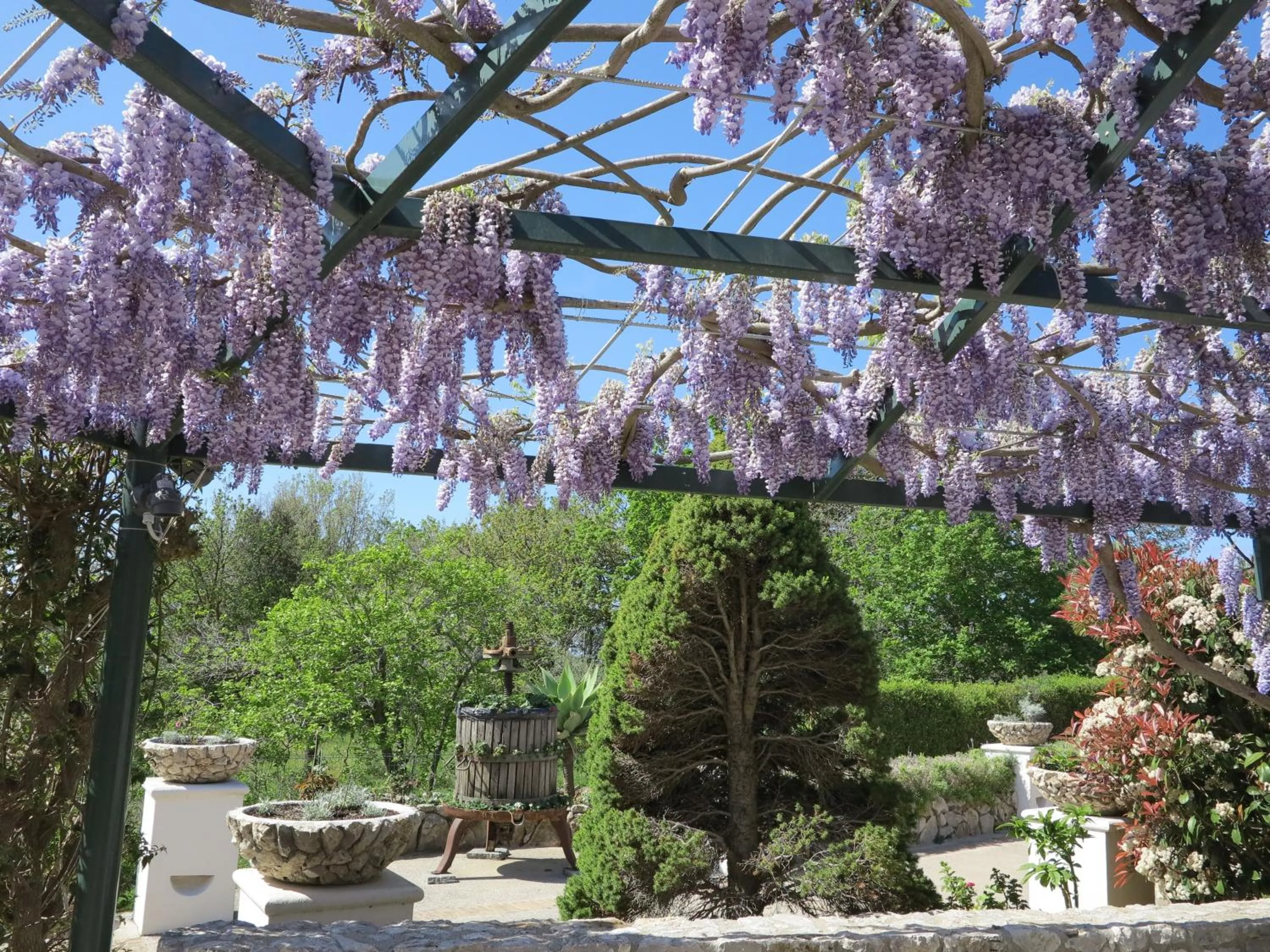 Spring in Hotel Al Mulino - Mediterranean Hideaway