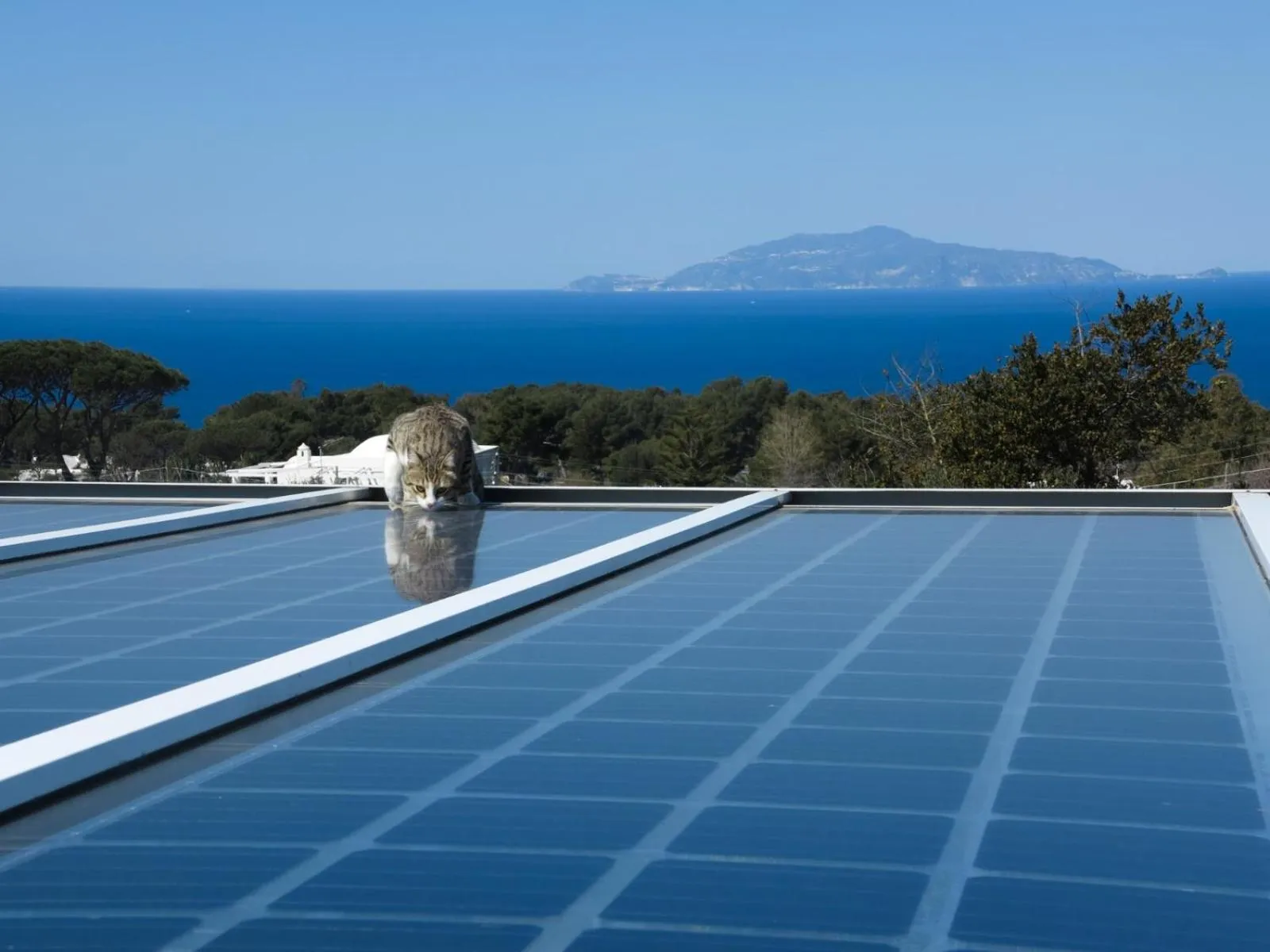 View (from property/room) in Hotel Al Mulino