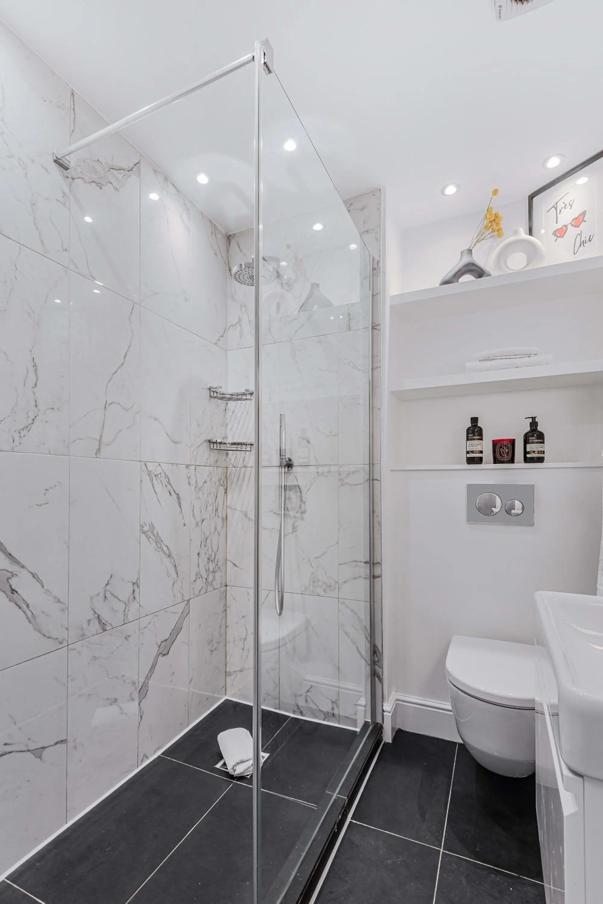 Lady on the Lane- 2 bed Primrose Hill