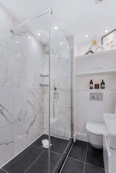 Lady on the Lane- 2 bed Primrose Hill