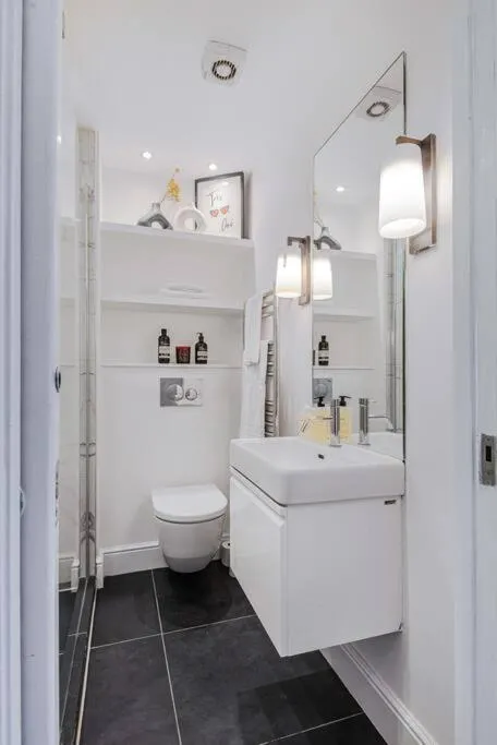 Lady on the Lane- 2 bed Primrose Hill