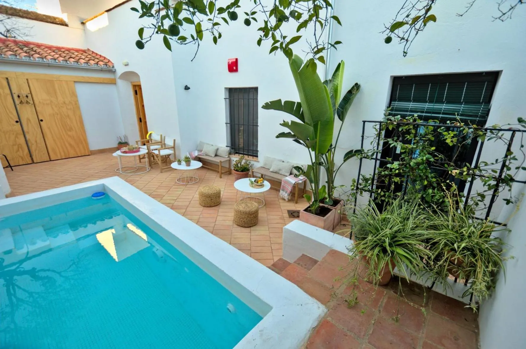 Patio in Hotel Casa Ernestina