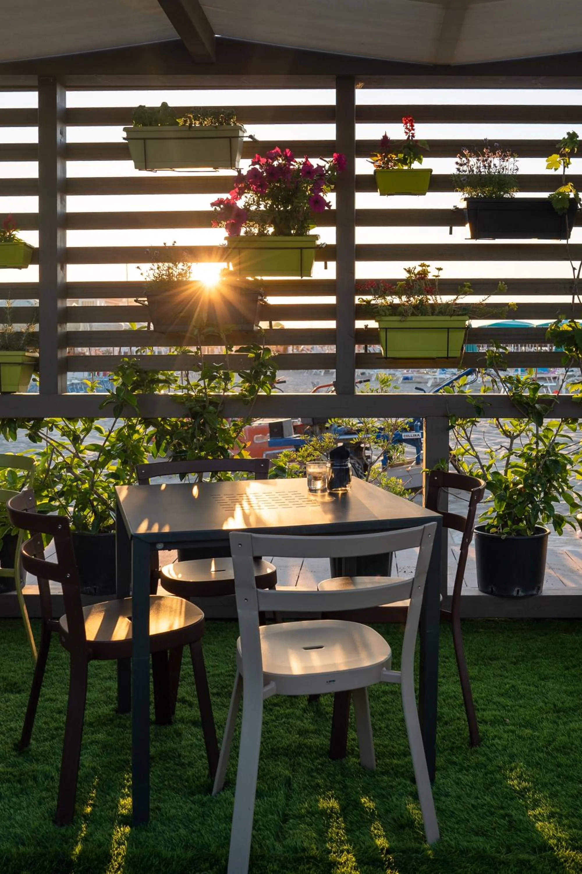 Beach in Hotel Salus