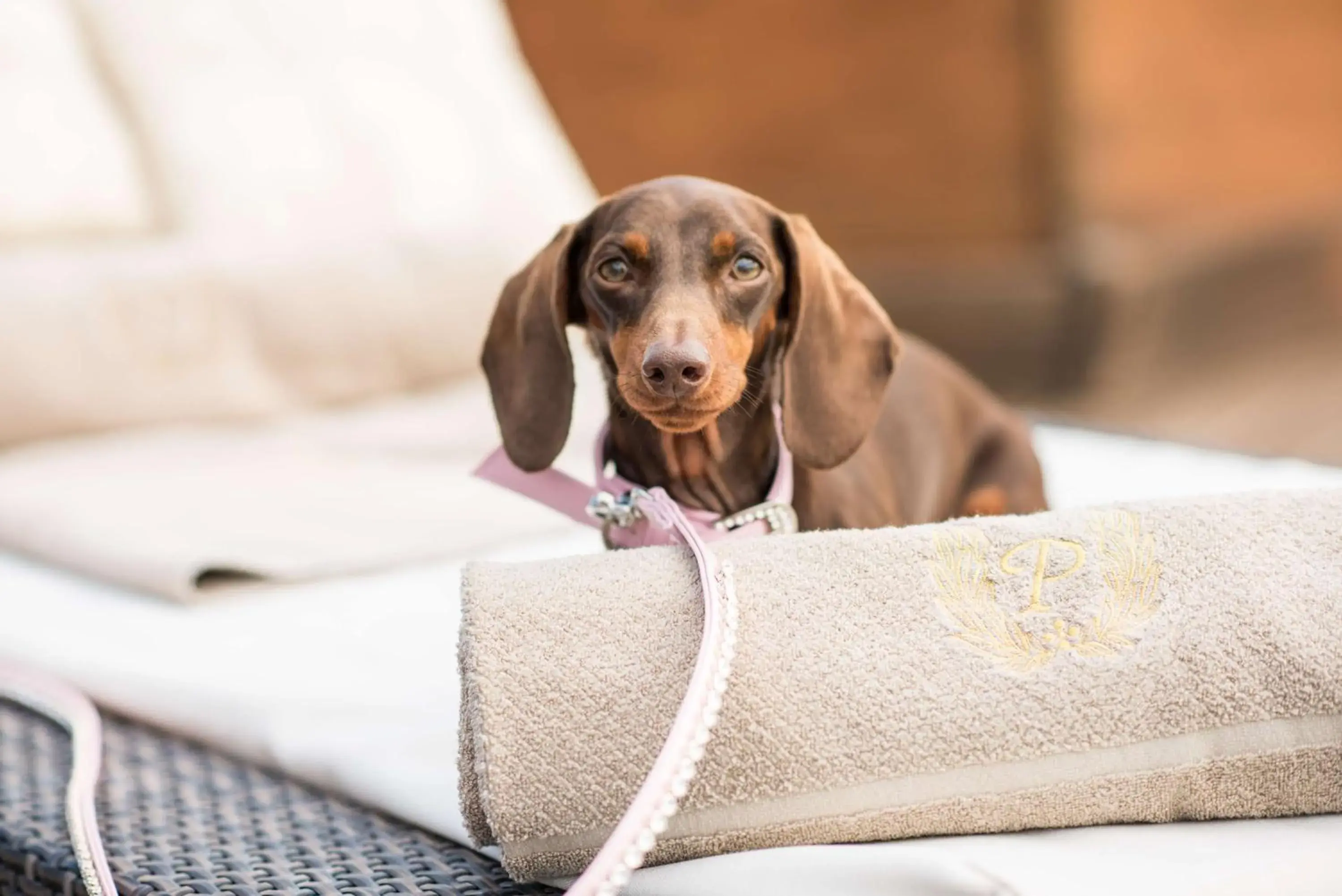 Property building in Rome Cavalieri, A Waldorf Astoria Hotel Property building in Rome Cavalieri, A Waldorf Astoria Hotel