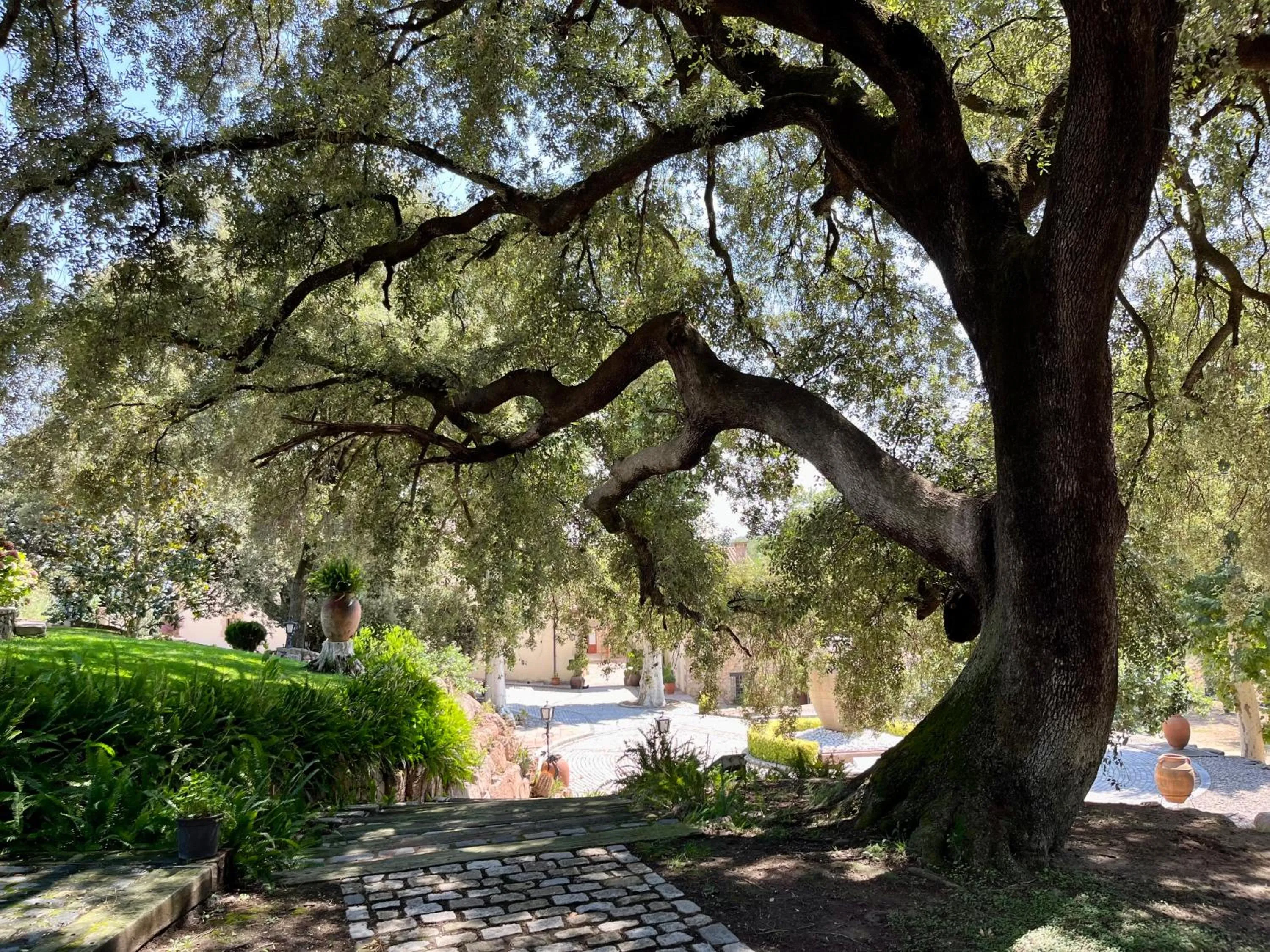 Property building in Masia Can Viver - Olive oil tourism B&B