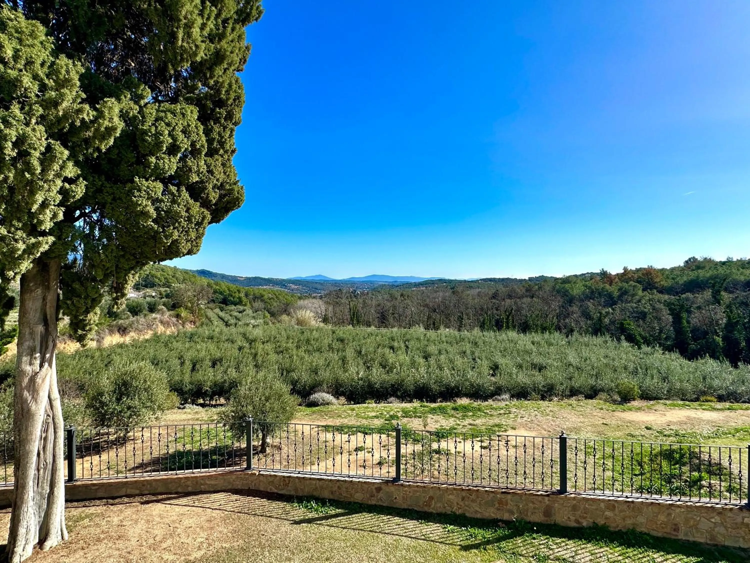 View (from property/room) in Masia Can Viver - Olive oil tourism B&B
