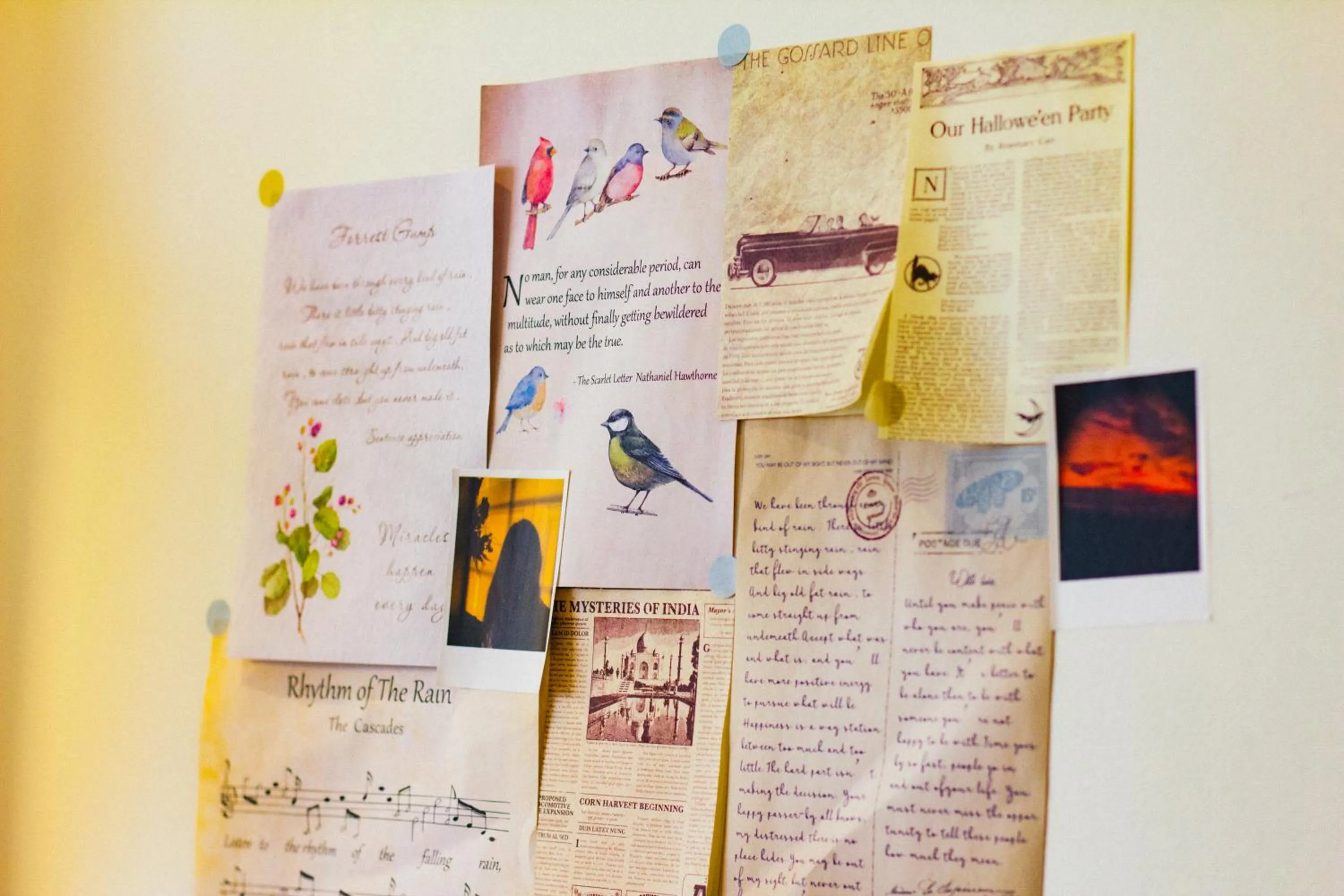Photo of the whole room in Apartment 1BR-FL27th-R103 Building-Vinhome Ocean Park