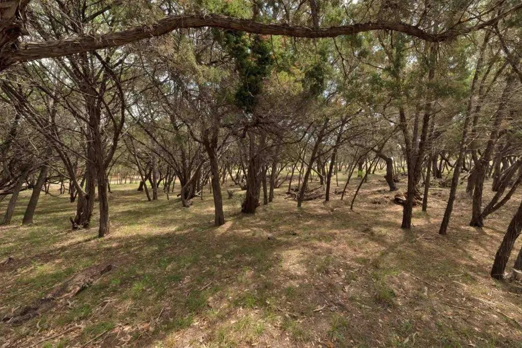 The Bobcat Cabin - The Cabins at Rim Rock
