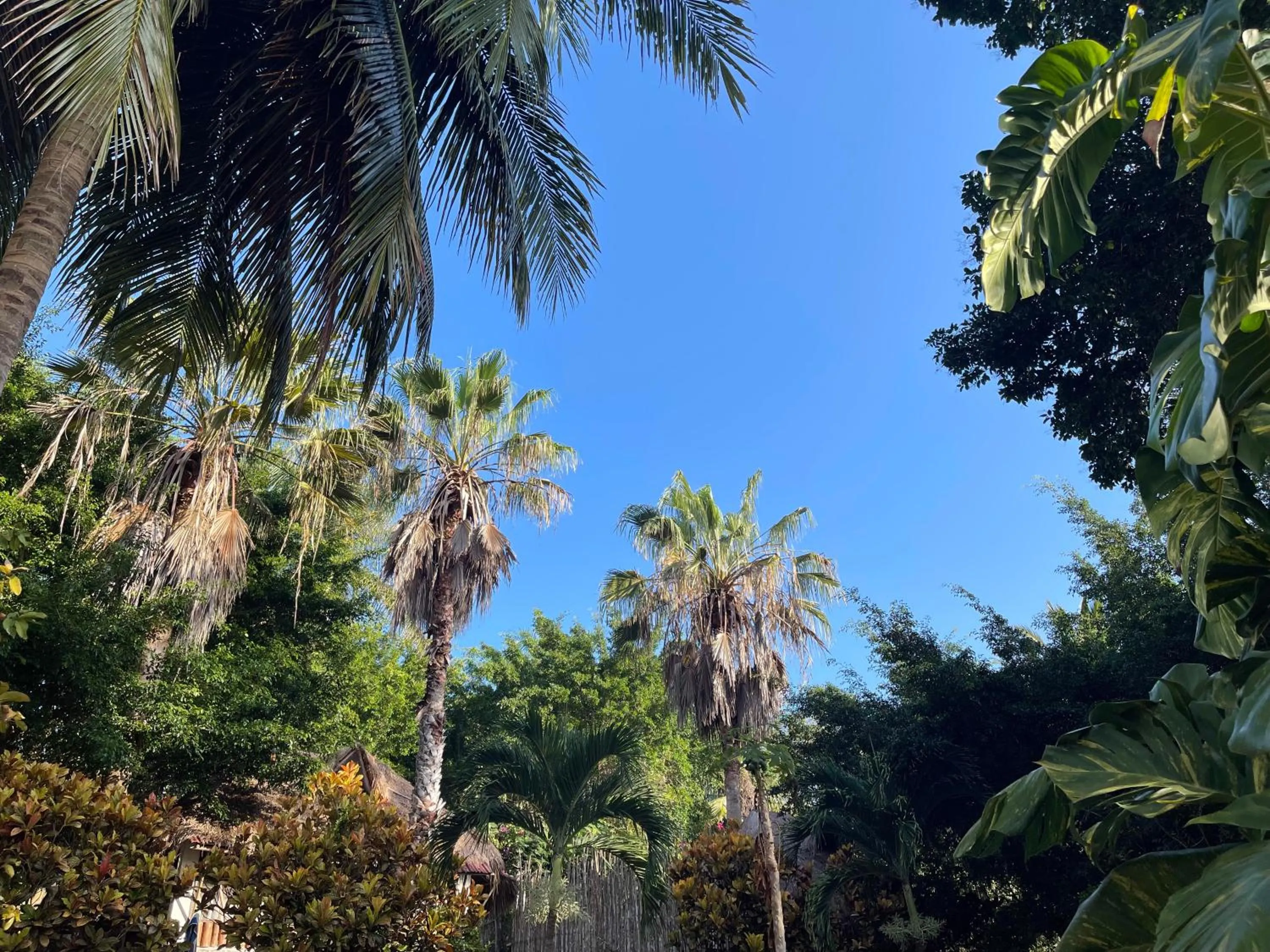 Natural landscape in Villa Santuario Lake front Oasis