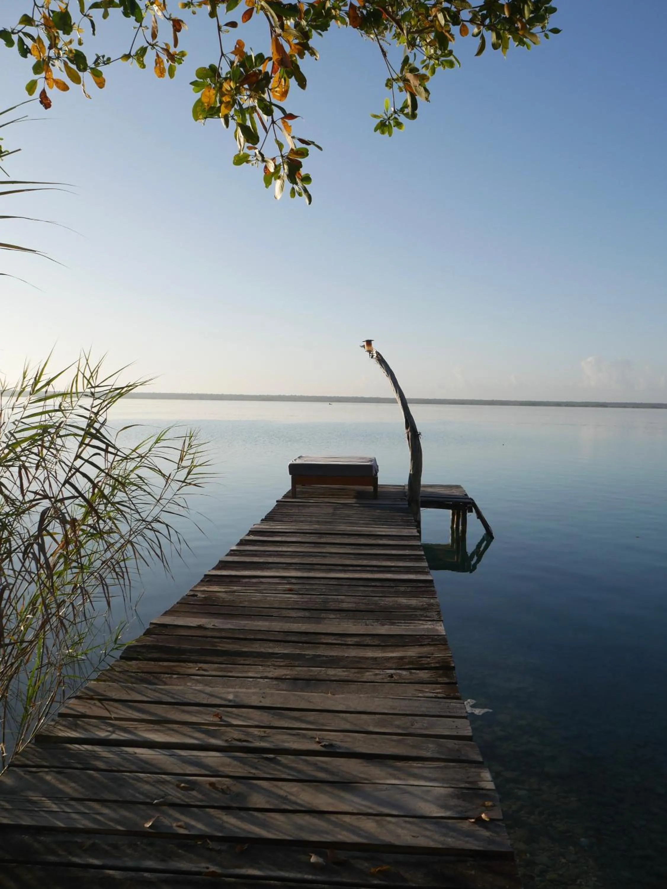 Natural landscape in Villa Santuario Lake front Oasis
