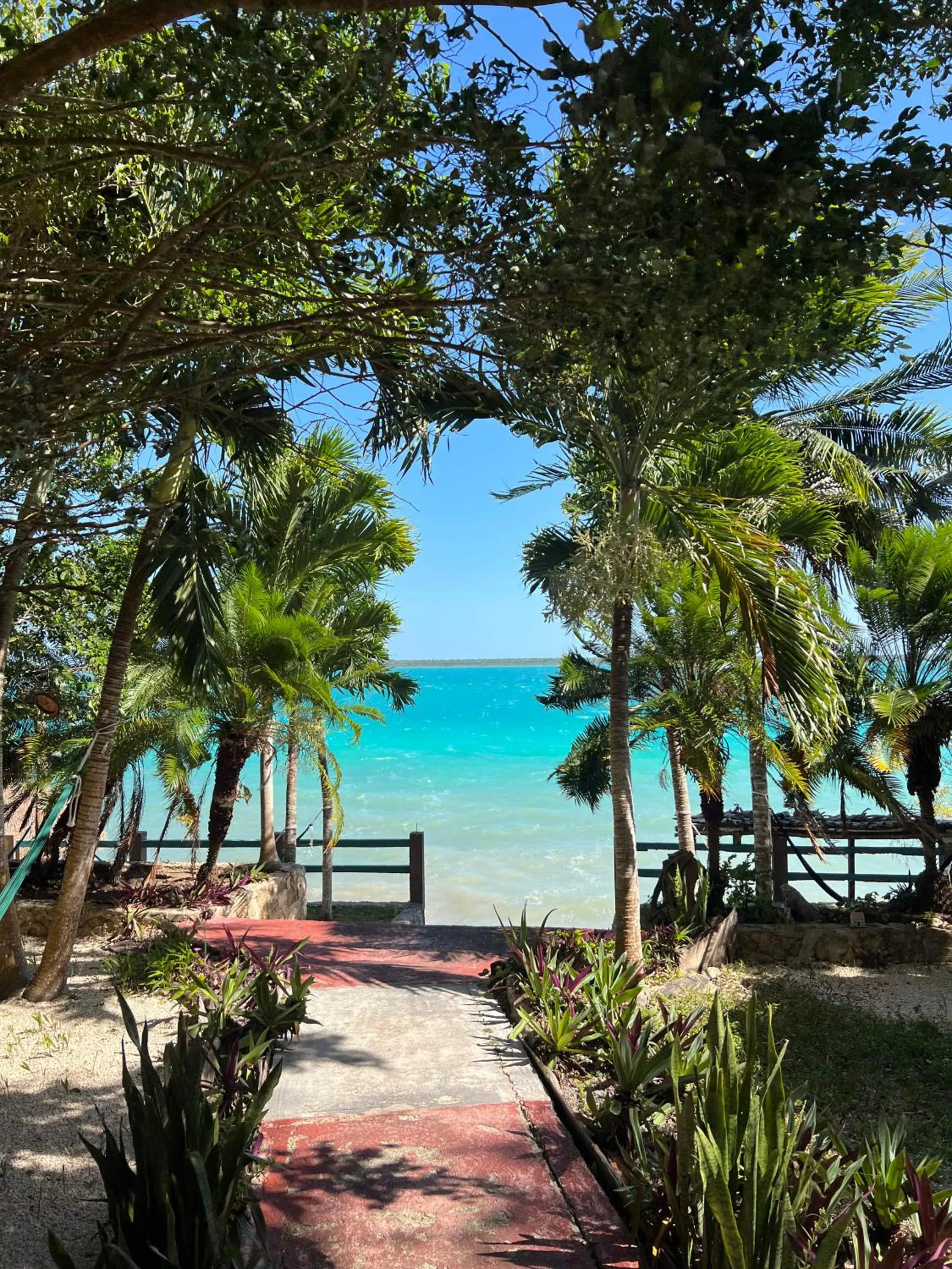 Garden view in Villa Santuario Lake front Oasis