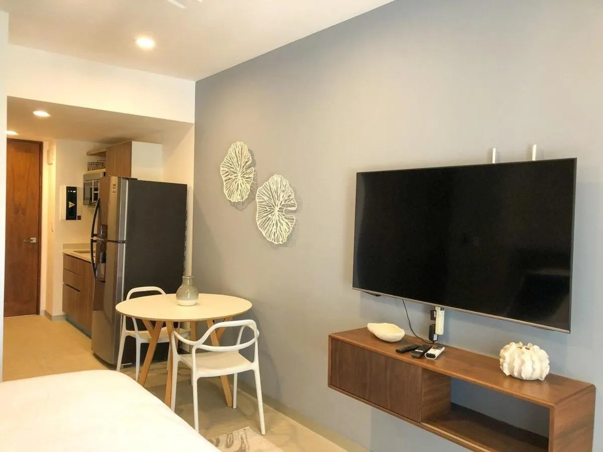 Deluxe Studio Aparment Mamitas Zone