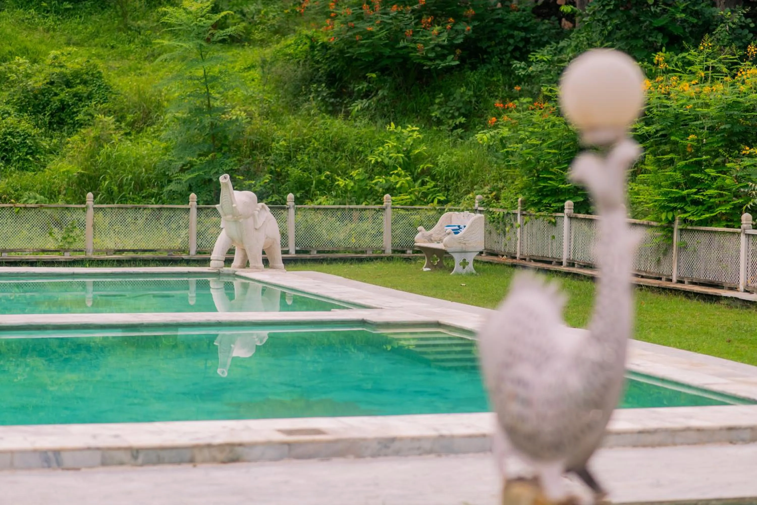 Pool view in The Fern Bambora Fort, Bambora, Udaipur