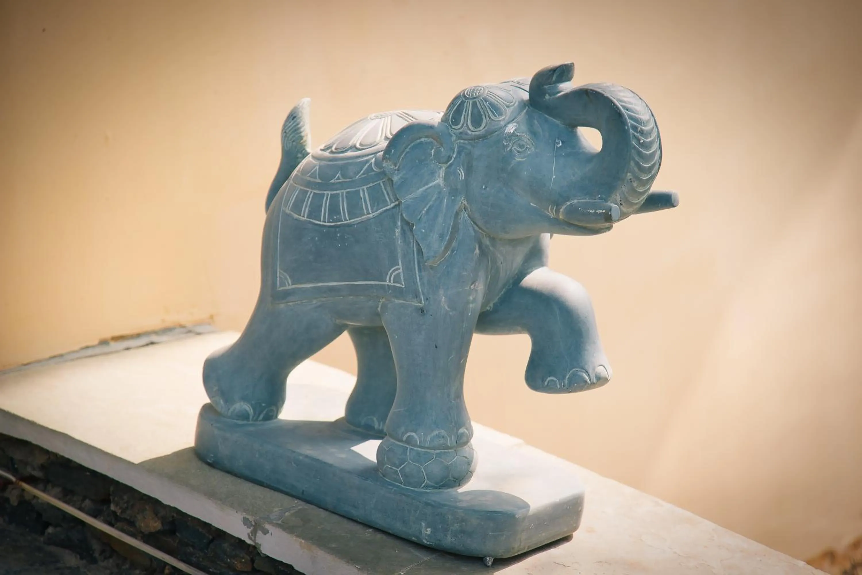 Property building in The Fern Bambora Fort, Bambora, Udaipur