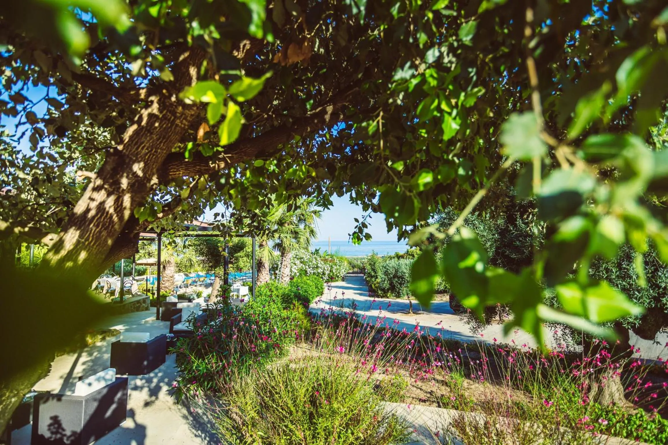 Garden in Hotel Rio Molas