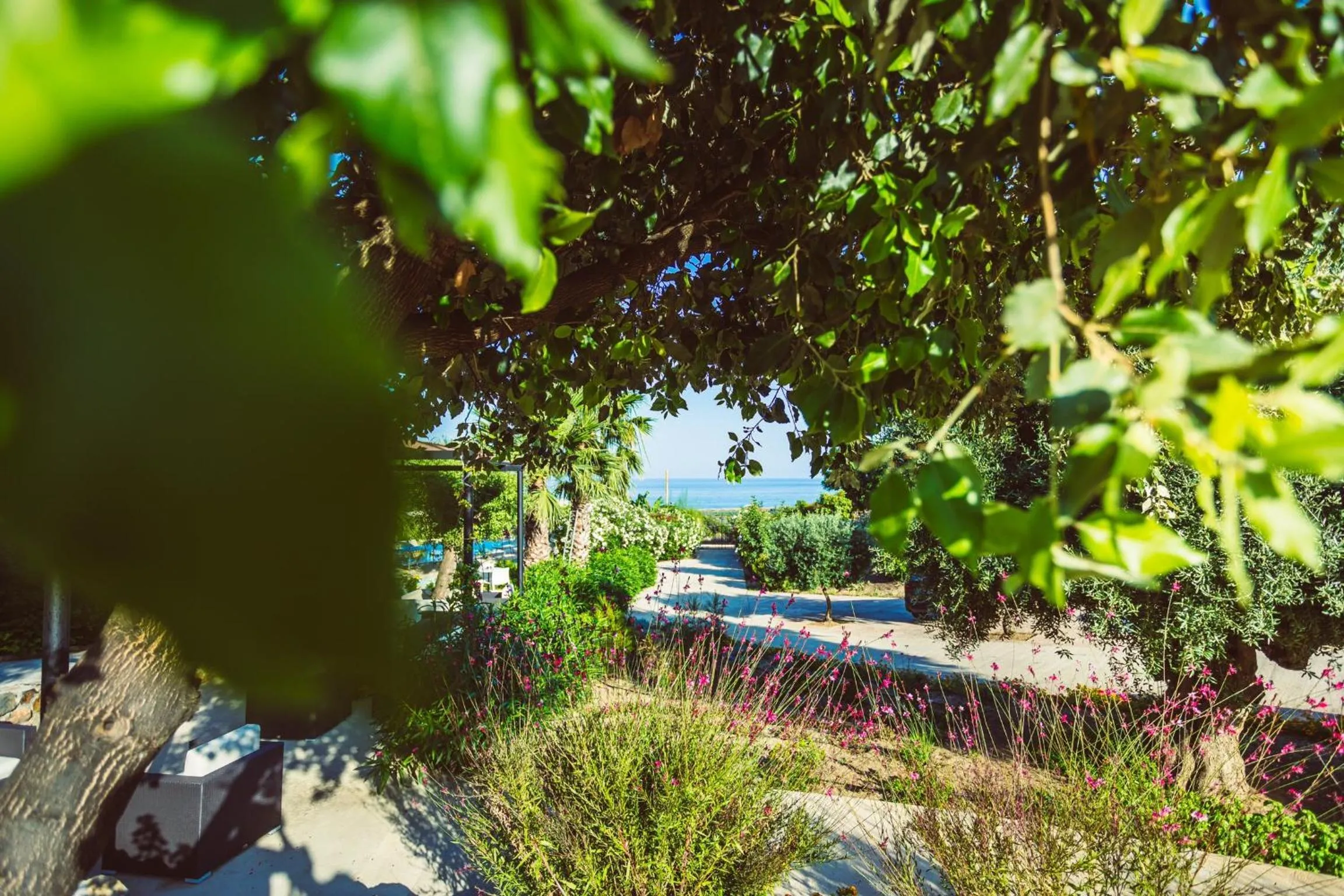 Garden in Hotel Rio Molas