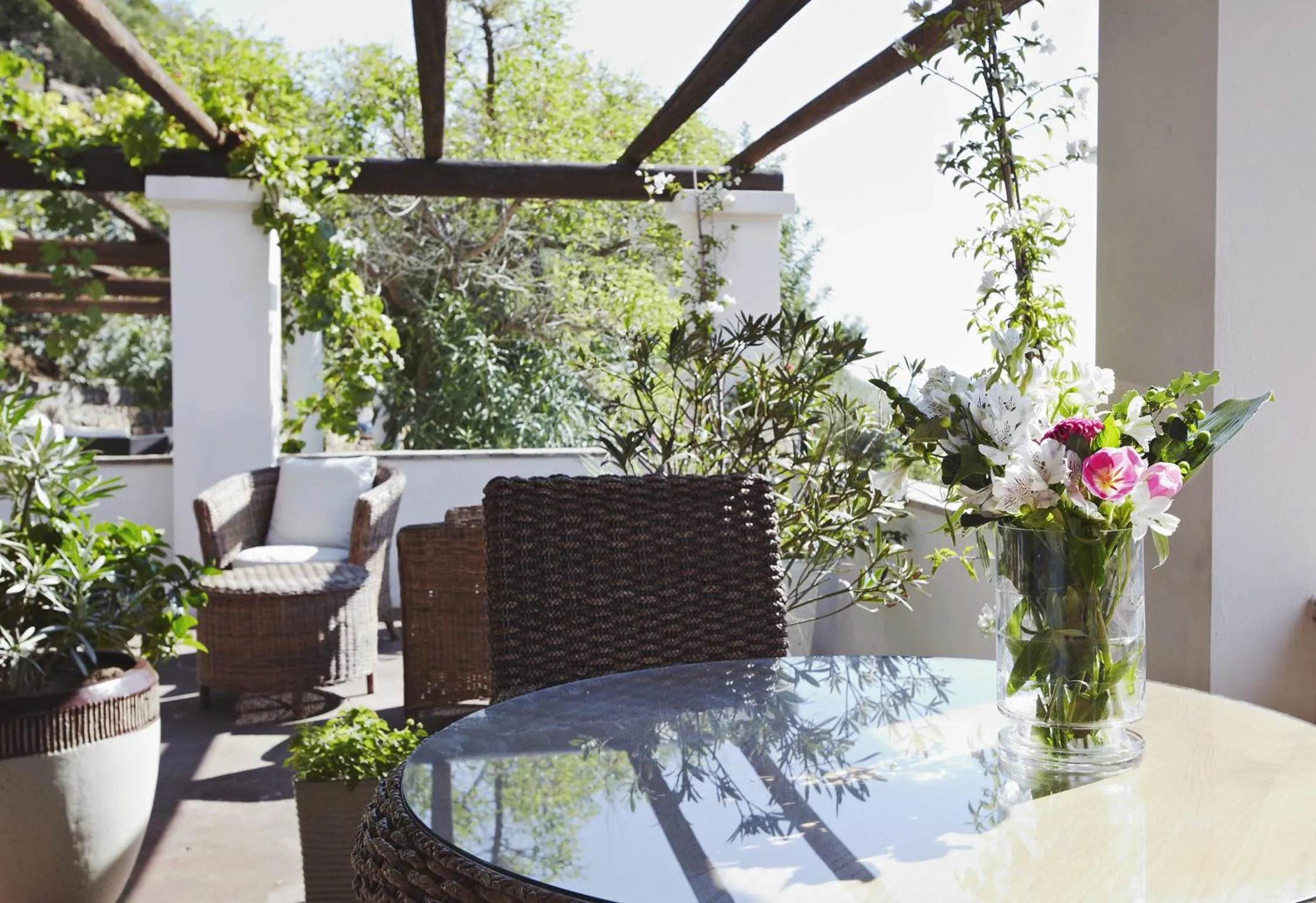 Balcony/Terrace in Hotel Rio Molas