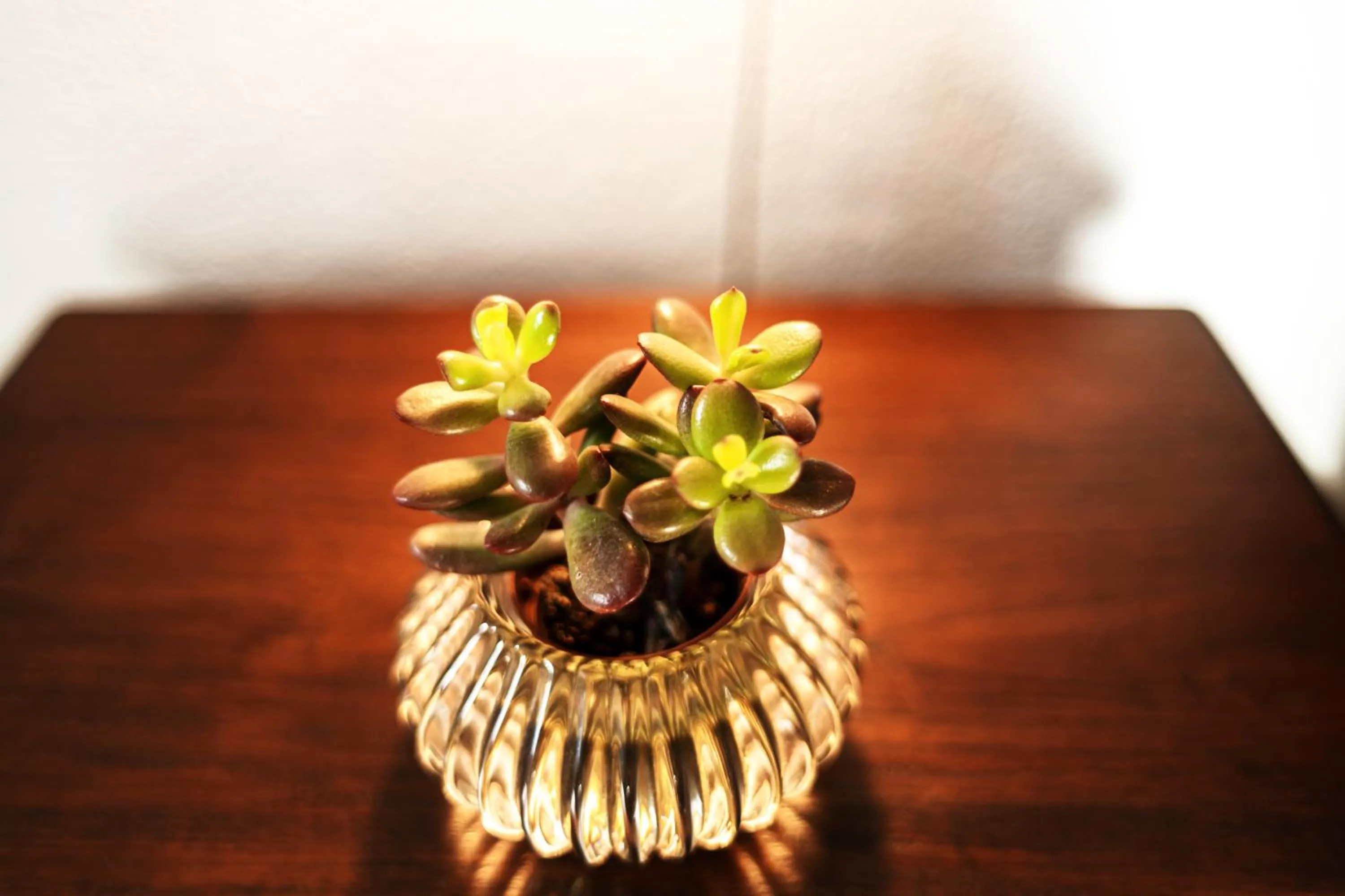 Decorative detail in Hotel Rio Molas