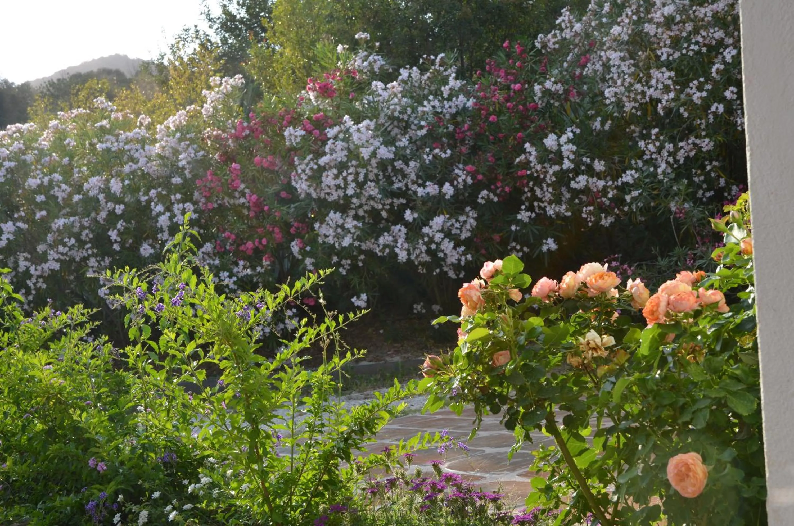 Spring in Hotel Rio Molas