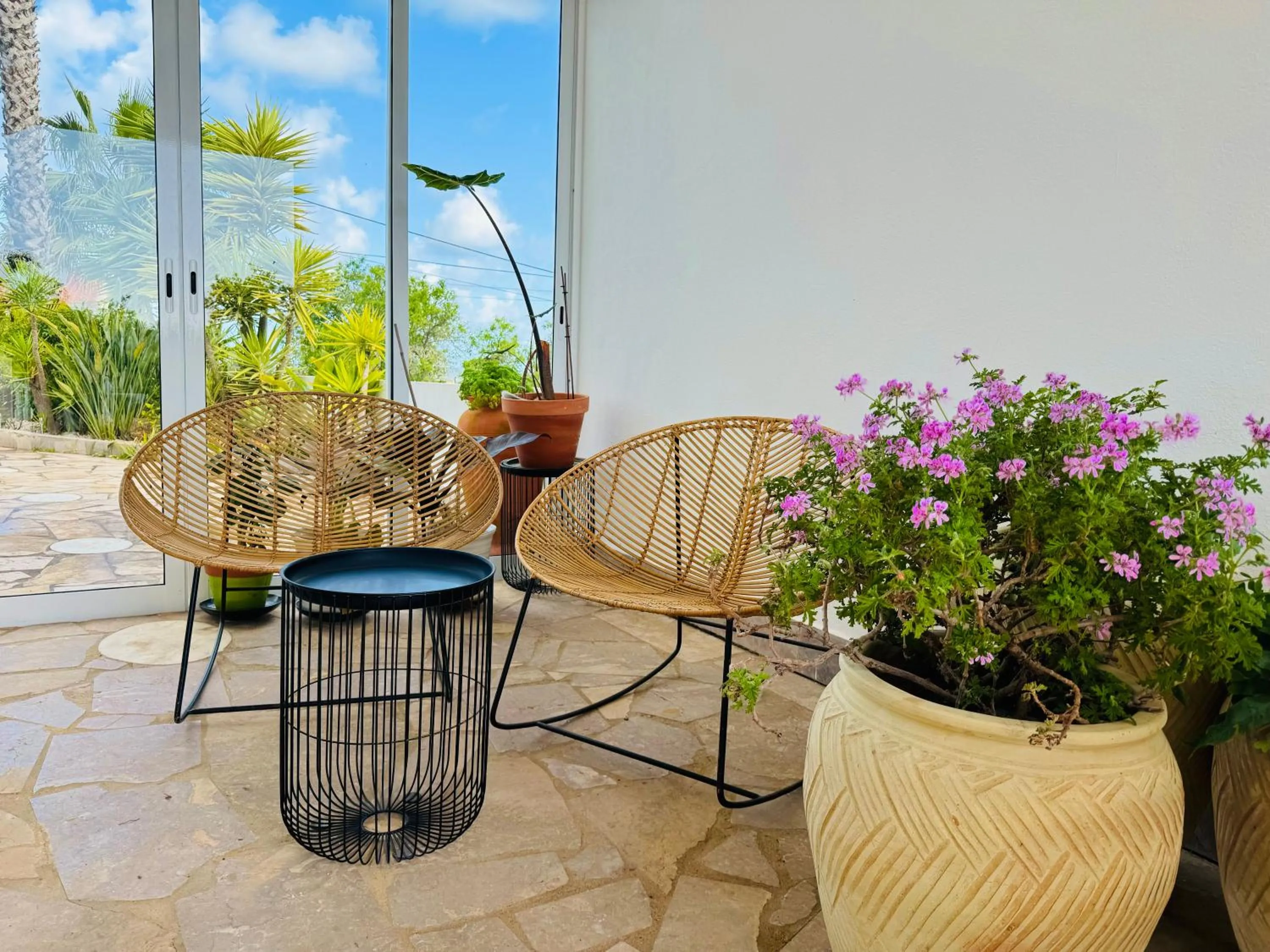 Patio in Palm View Guesthouse, adults only