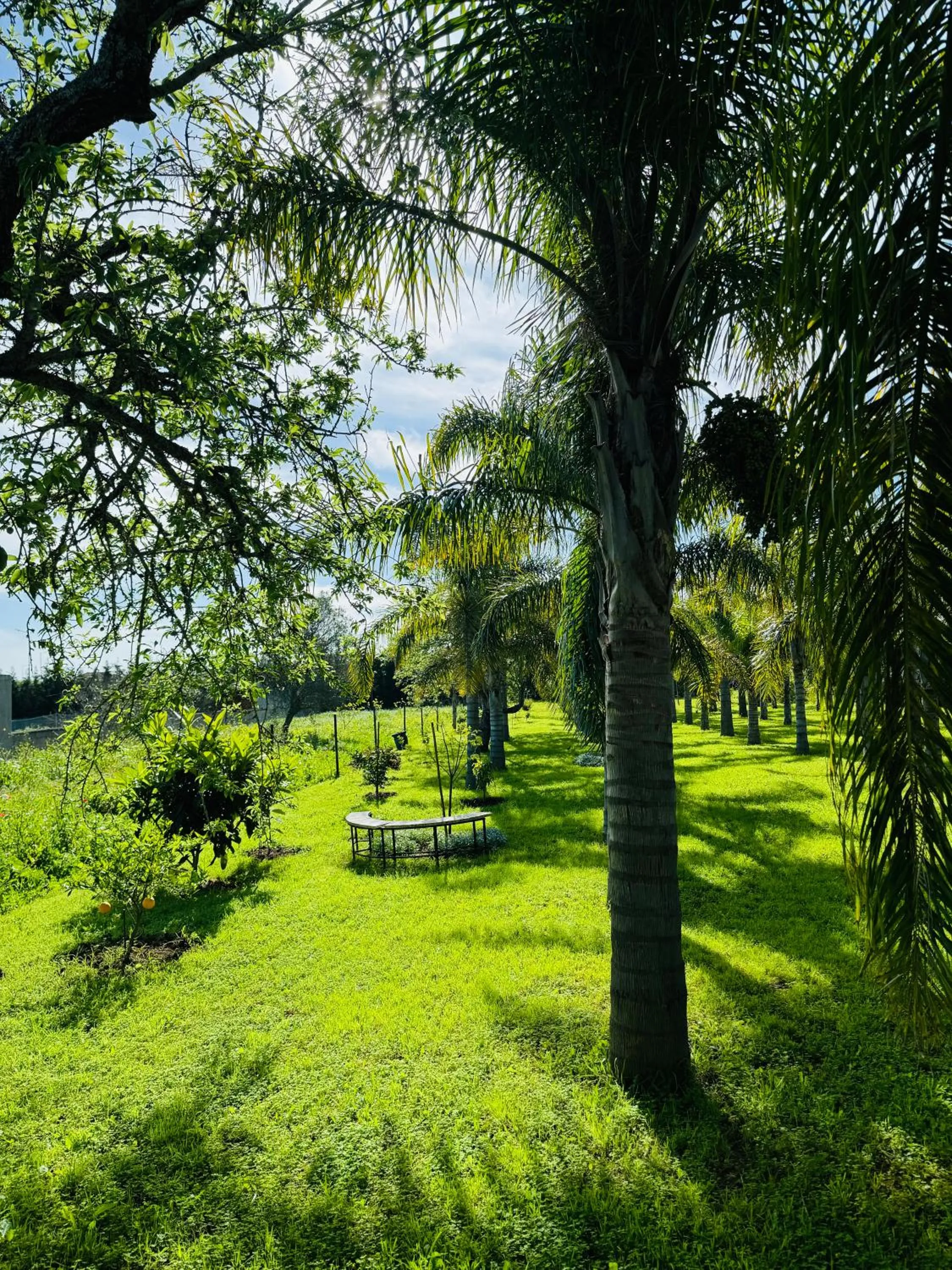 Garden in Palm View Guesthouse, adults only