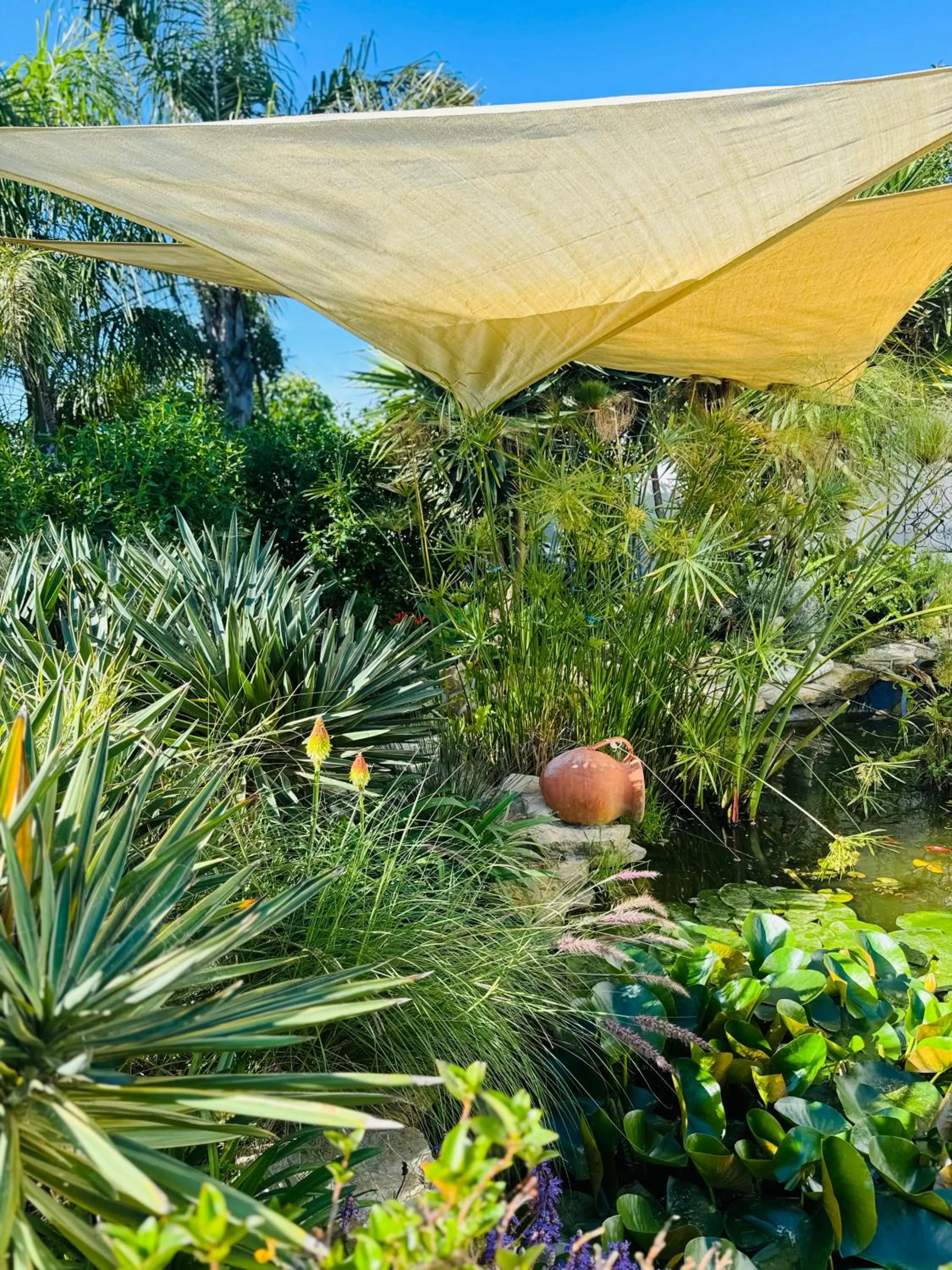 Garden in Palm View Guesthouse, adults only