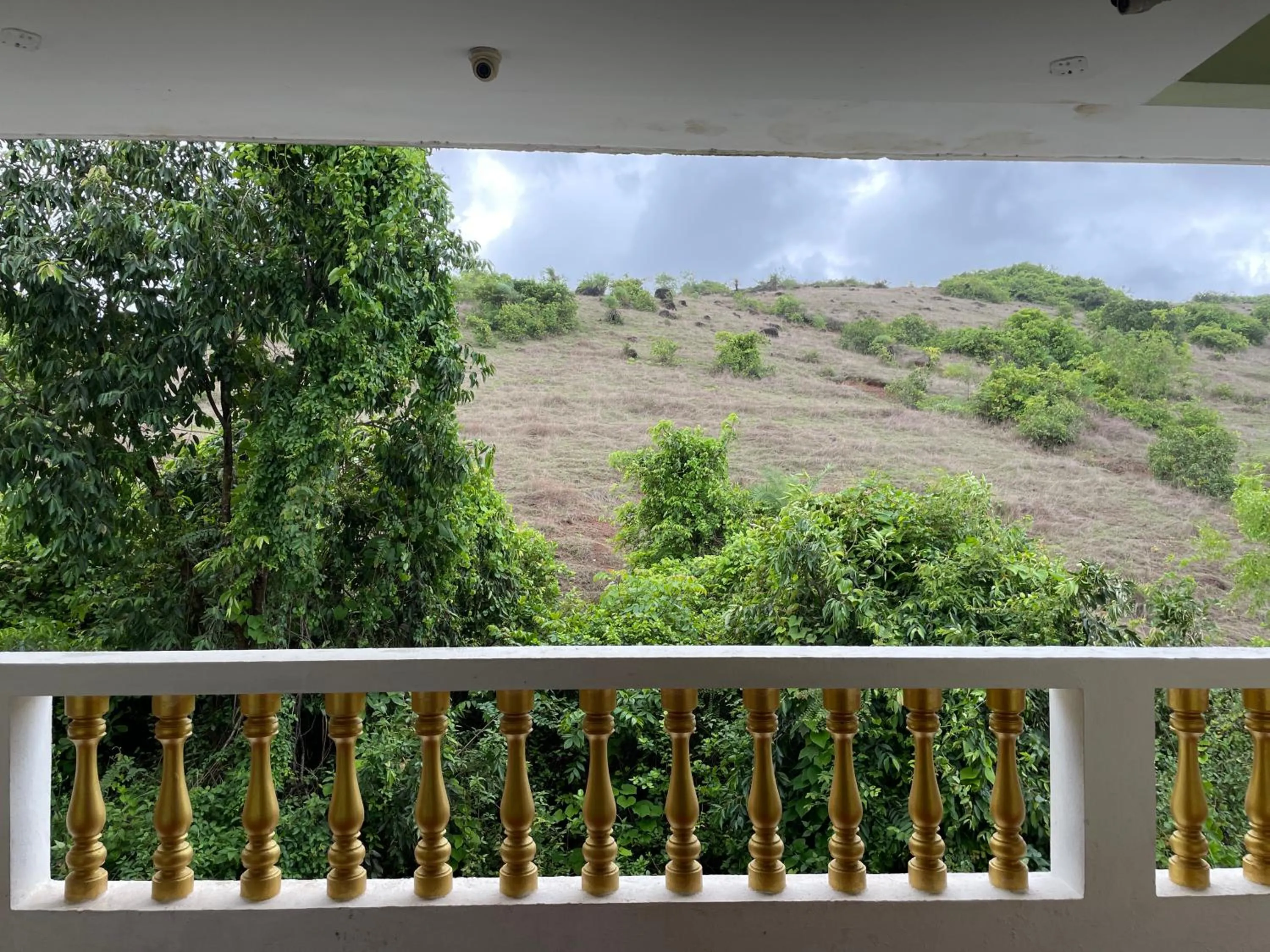 Natural landscape in SPARV Aulakhs Resort