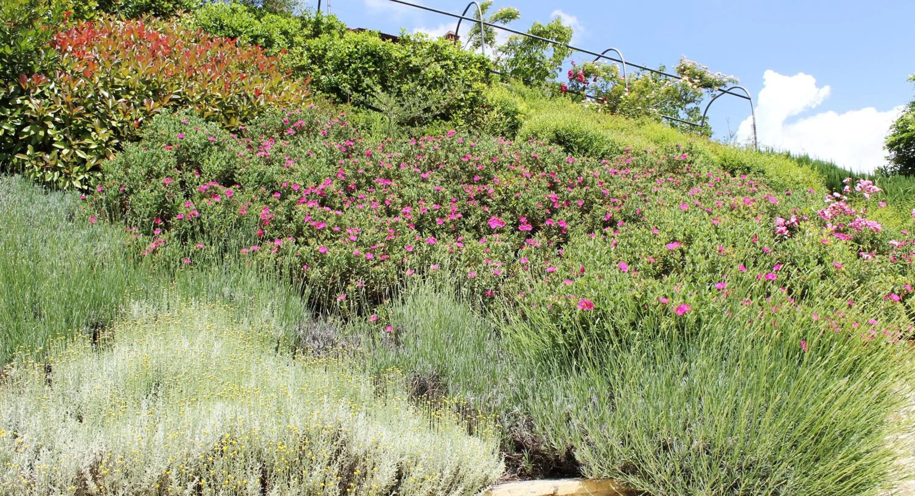 Garden in Le Fonti A San Giorgio