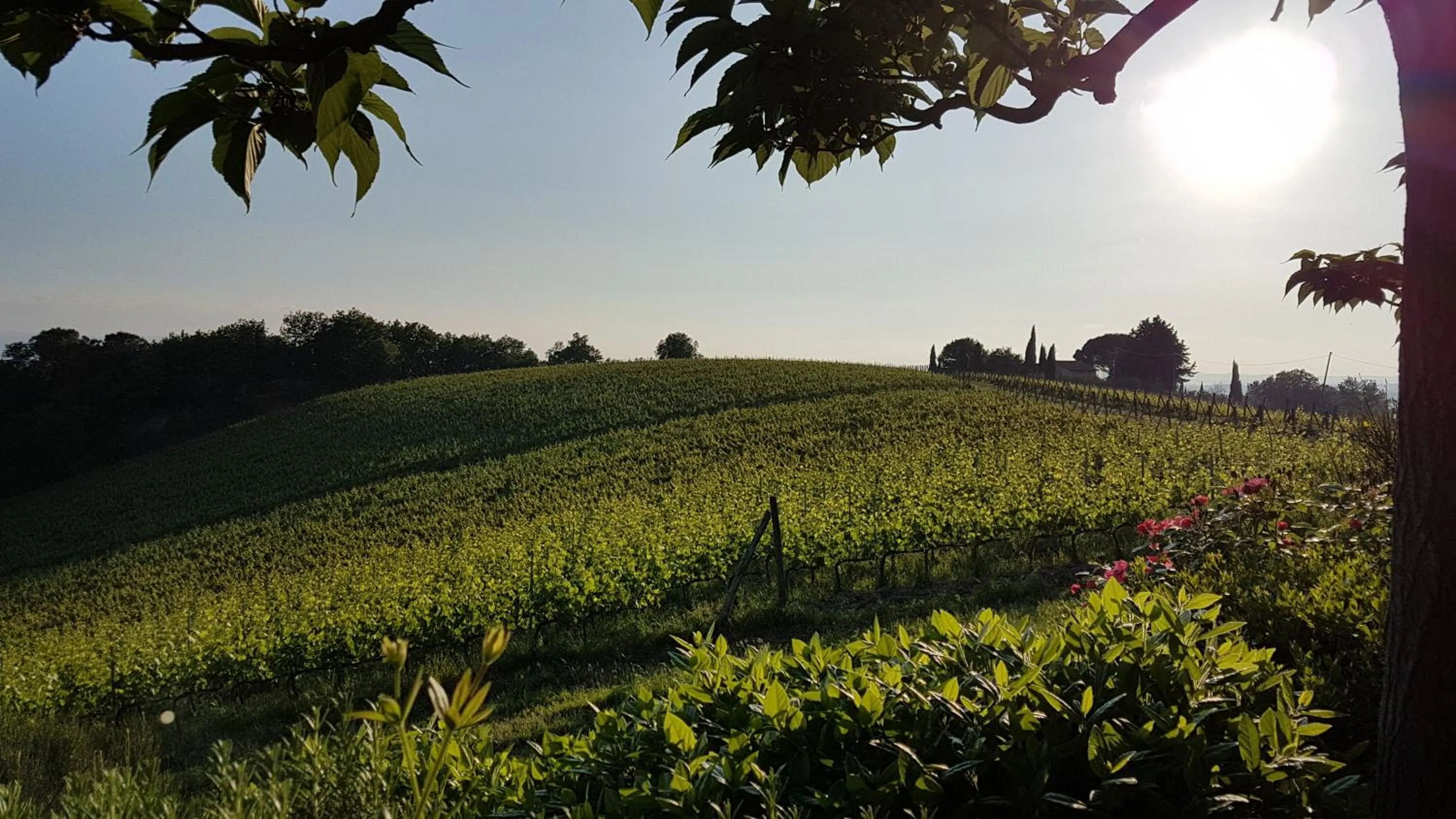 Natural landscape in Le Fonti A San Giorgio