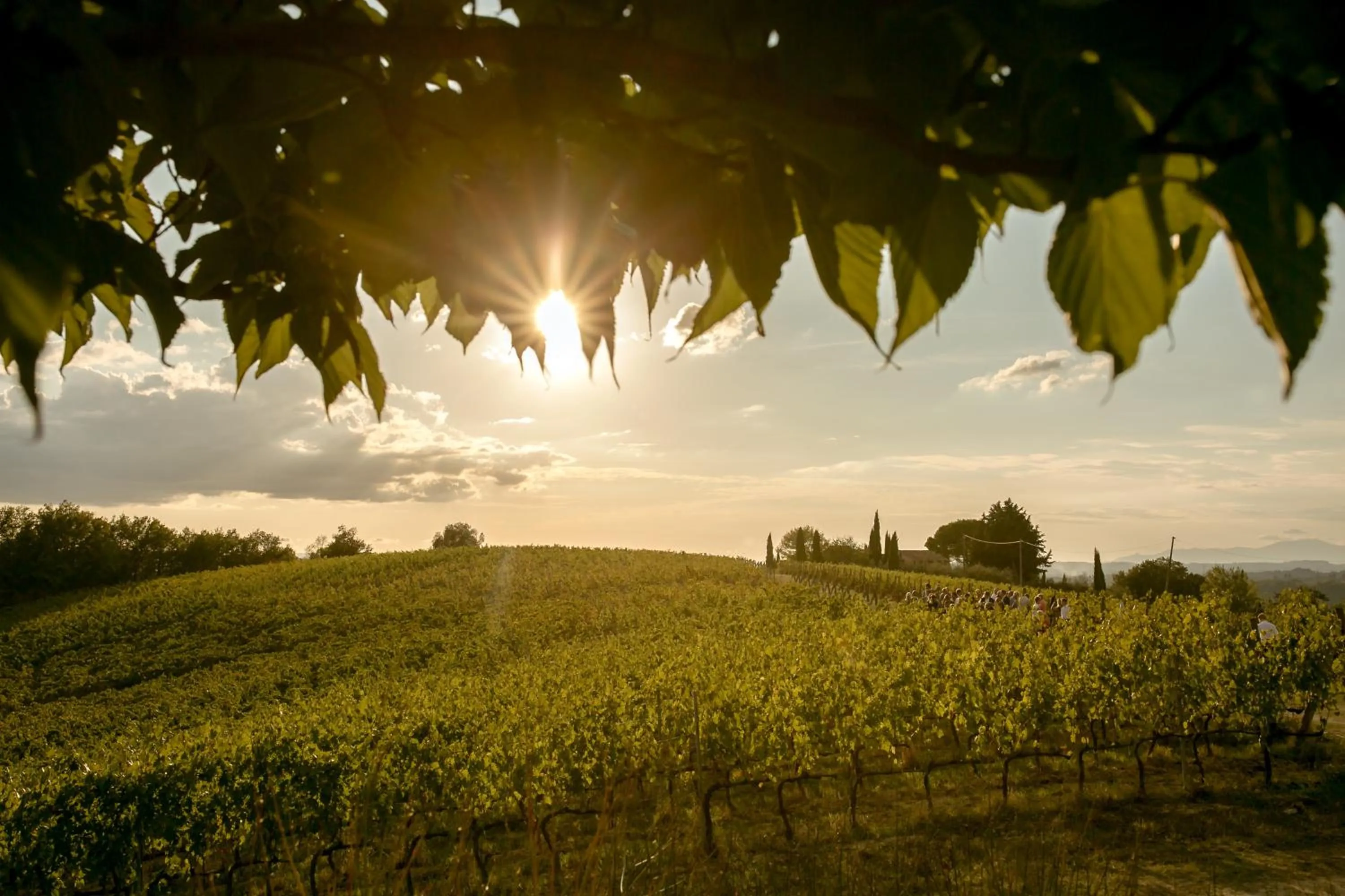 Natural landscape in Le Fonti A San Giorgio