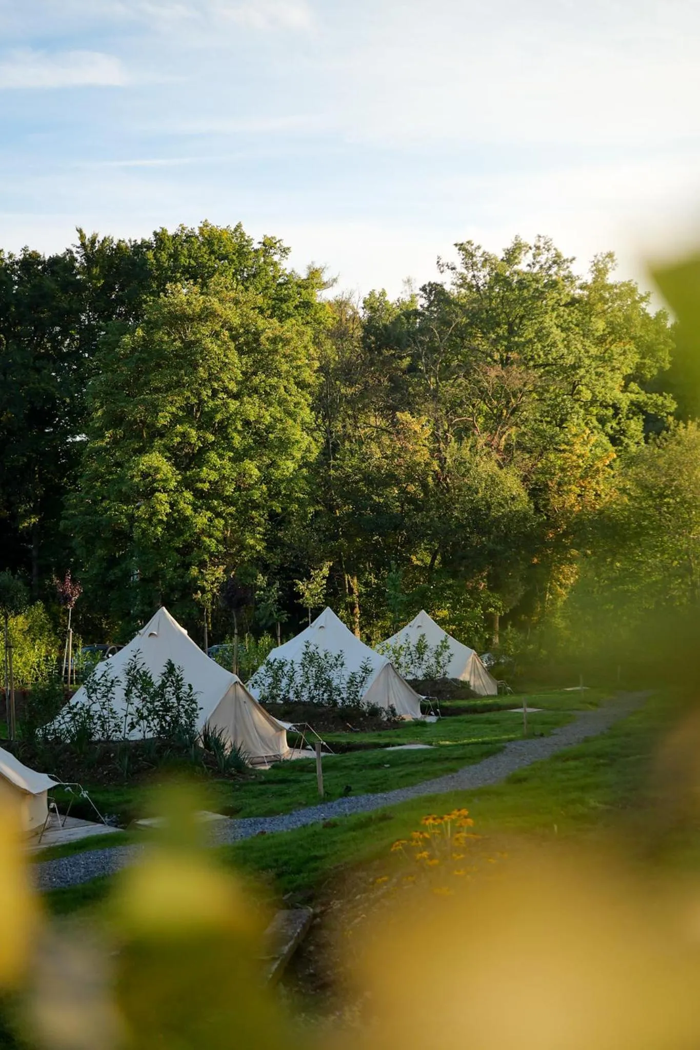 Natural landscape in Le Domaine de Bra