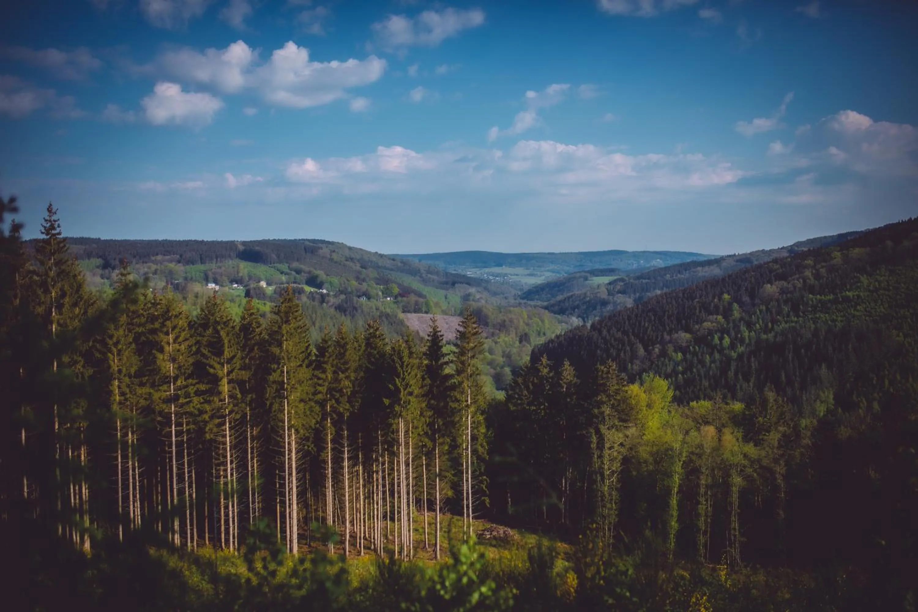 Natural landscape in Le Domaine de Bra
