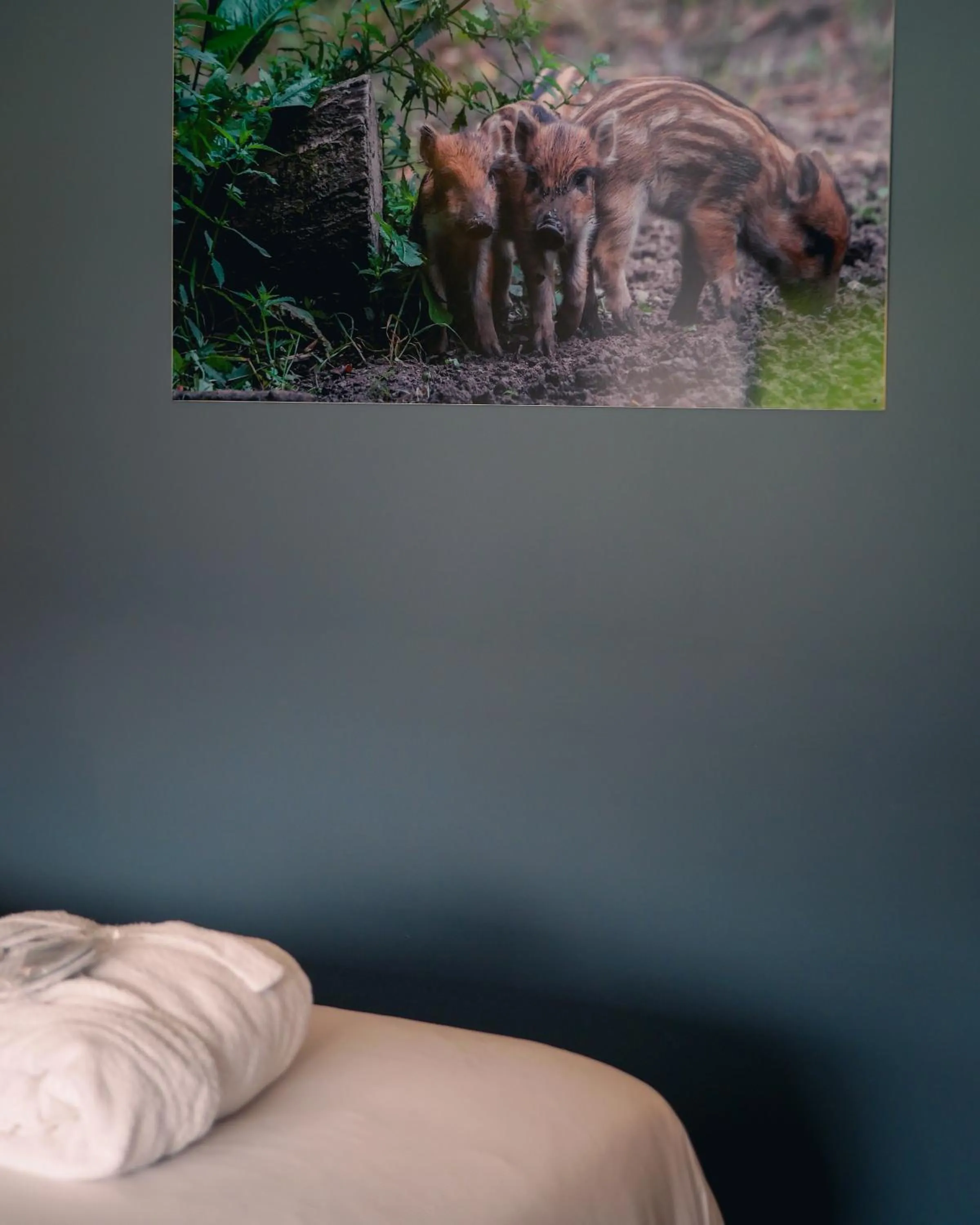 Bedroom in Le Domaine de Bra