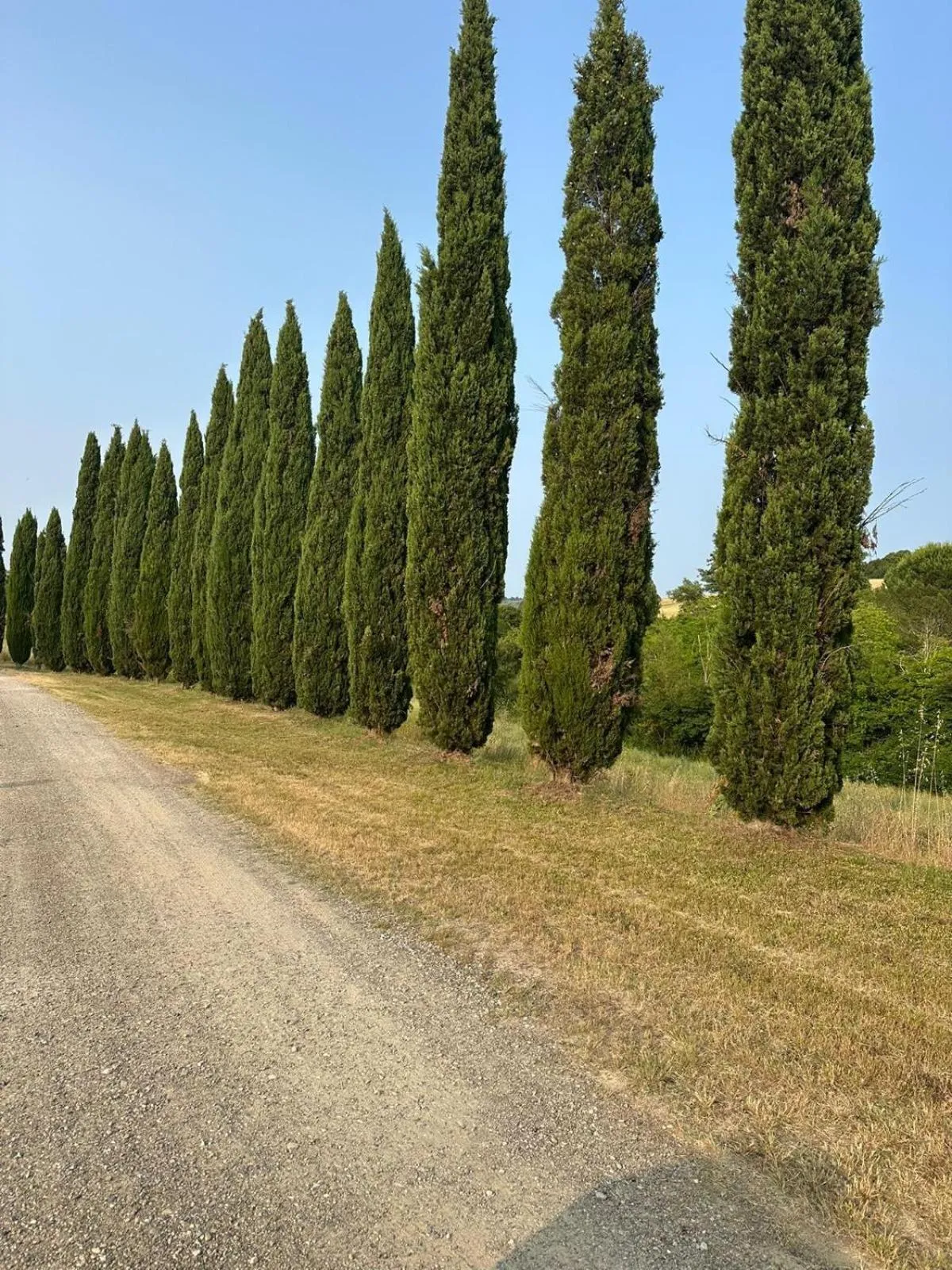 Garden in Cascina De' Fagiolari